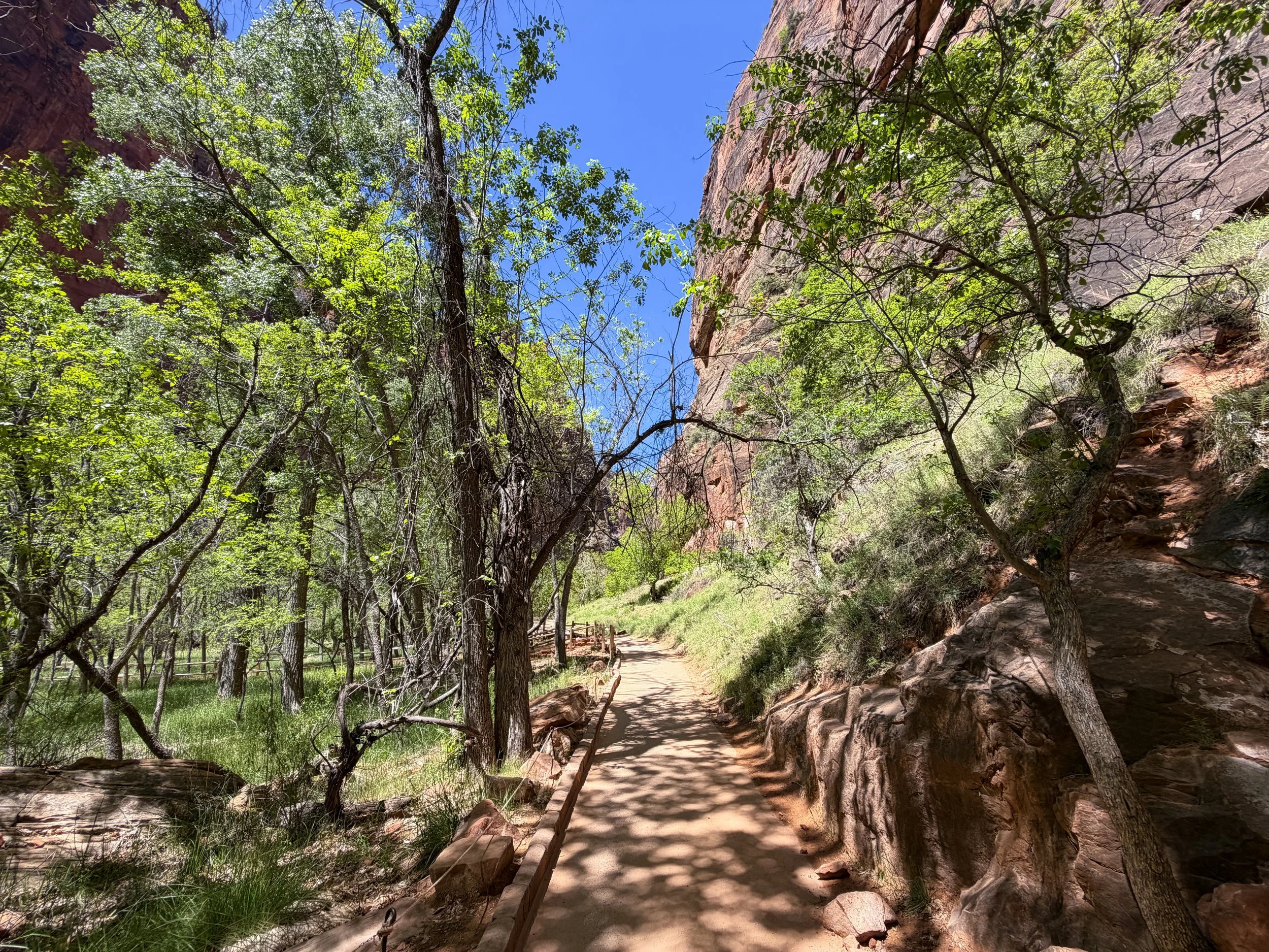 Riverside Walk Trail Zion National Park Utah