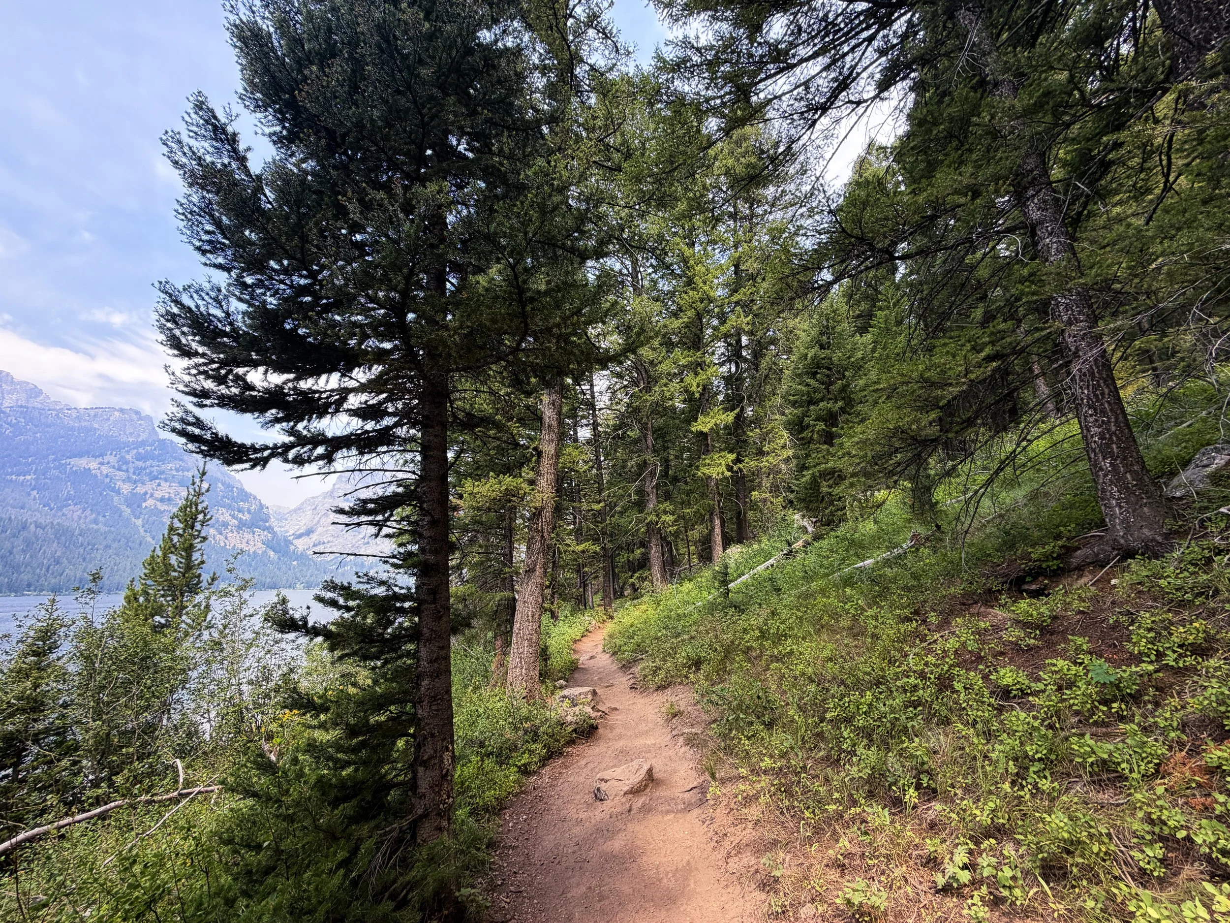 Phelps Lake Loop Trail to Cliff Jumping Rock Grand Teton National Park Wyoming