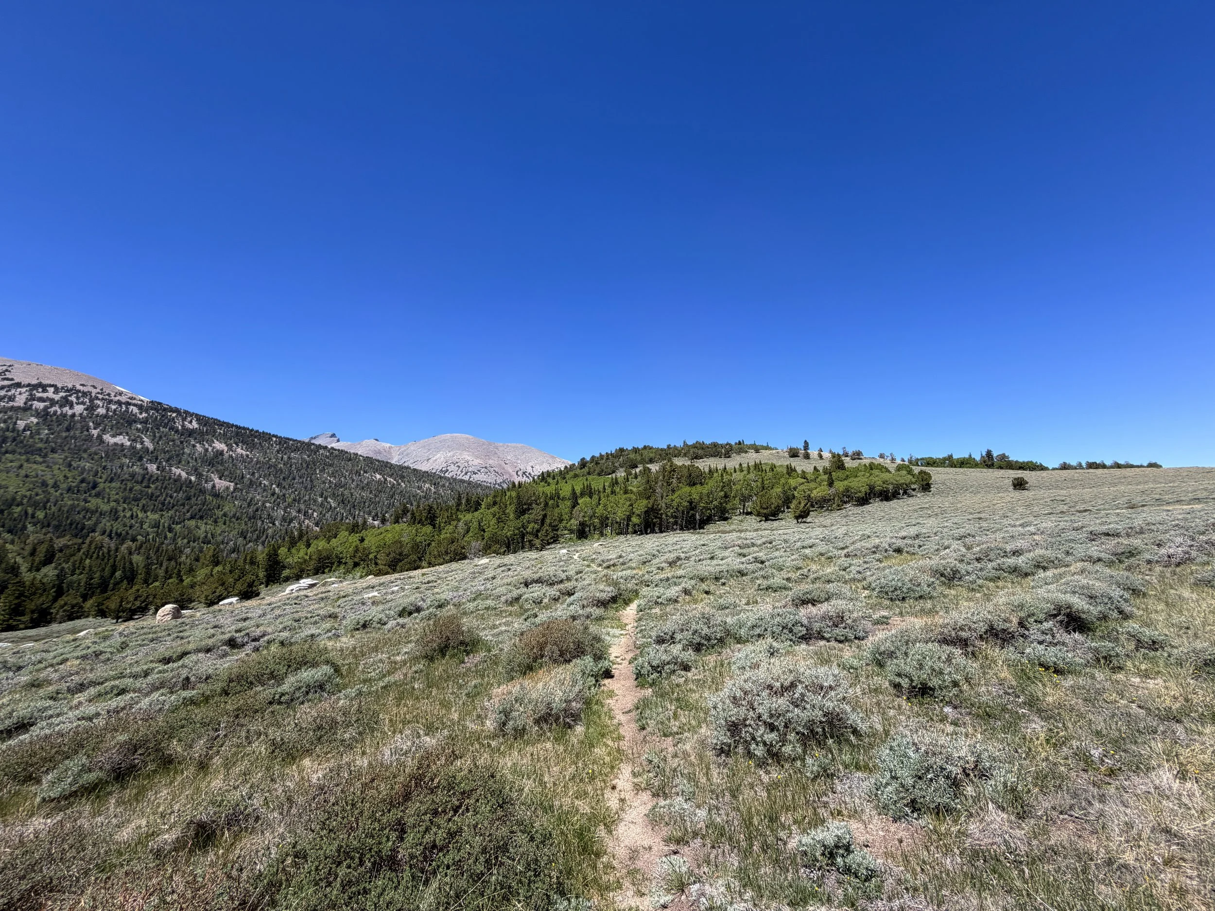 Timber Creek Loop Trail Great Basin National Park Nevada