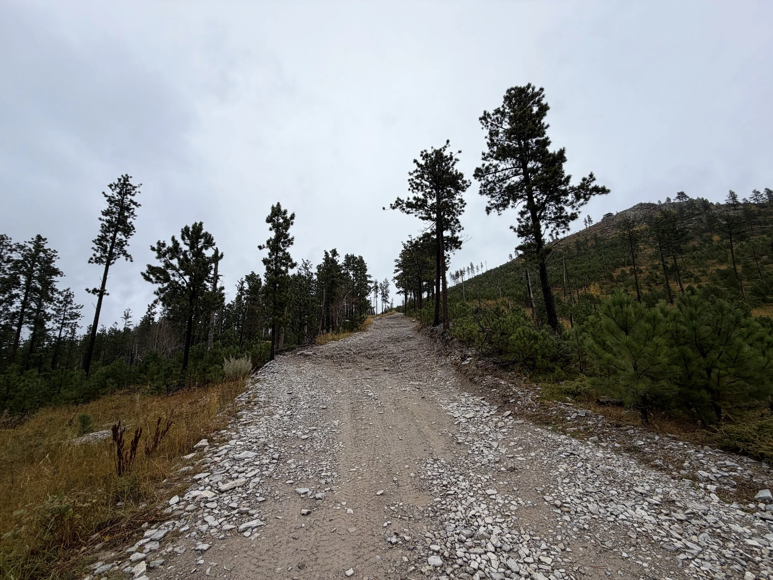 Custer Peak Hike Black Hills South Dakota