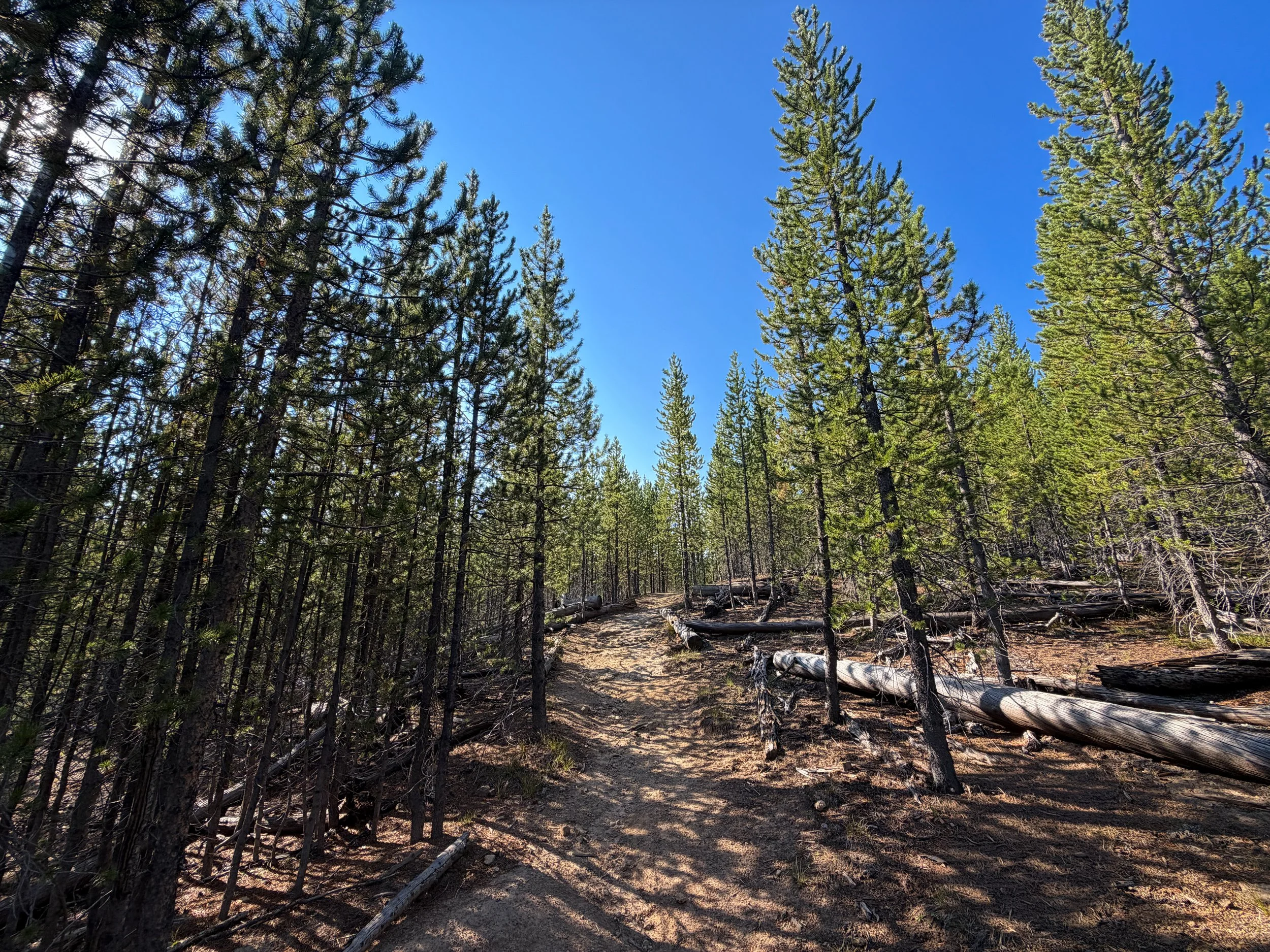Monument Geyser Basin Hike Yellowstone National Park Wyoming