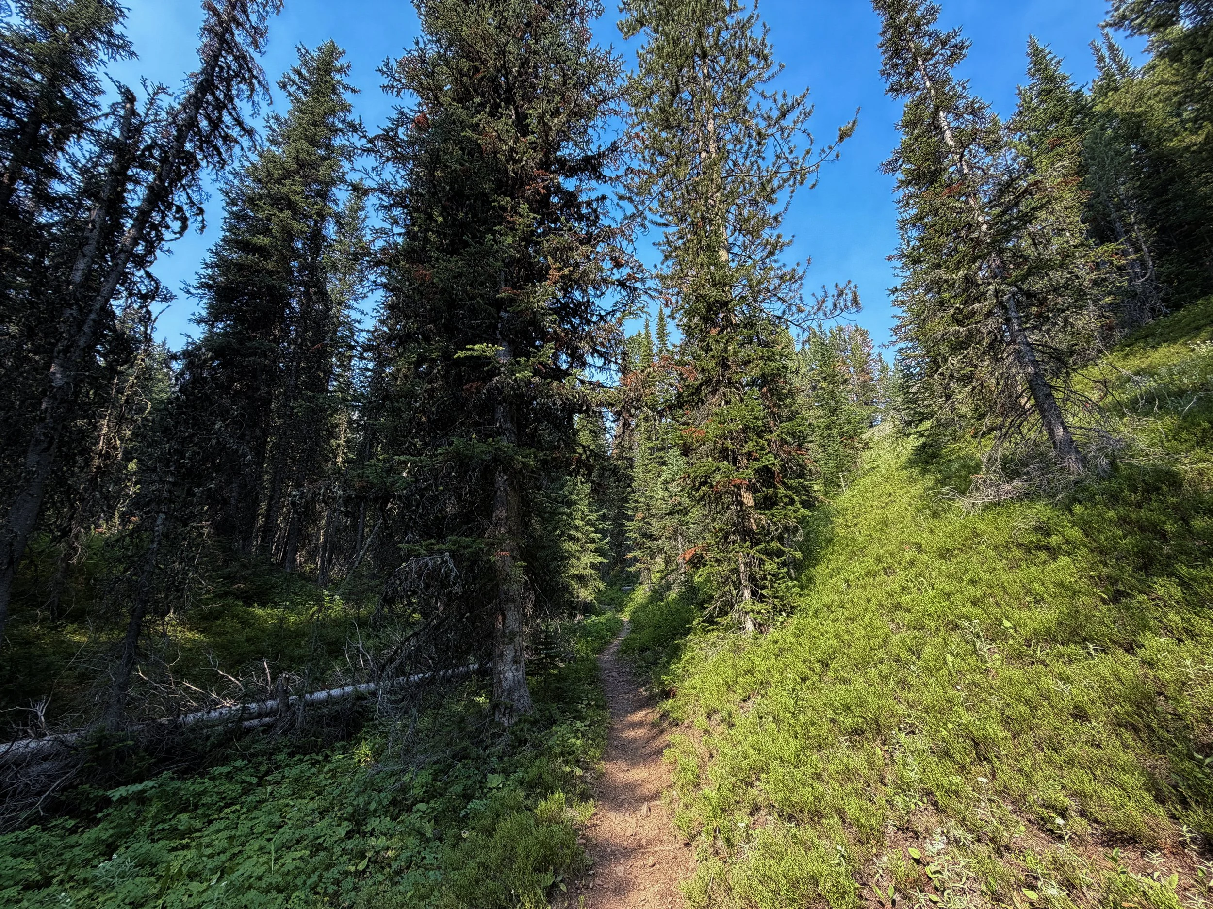 East Rosebud Trail The Beaten Path Beartooth Mountains Montana