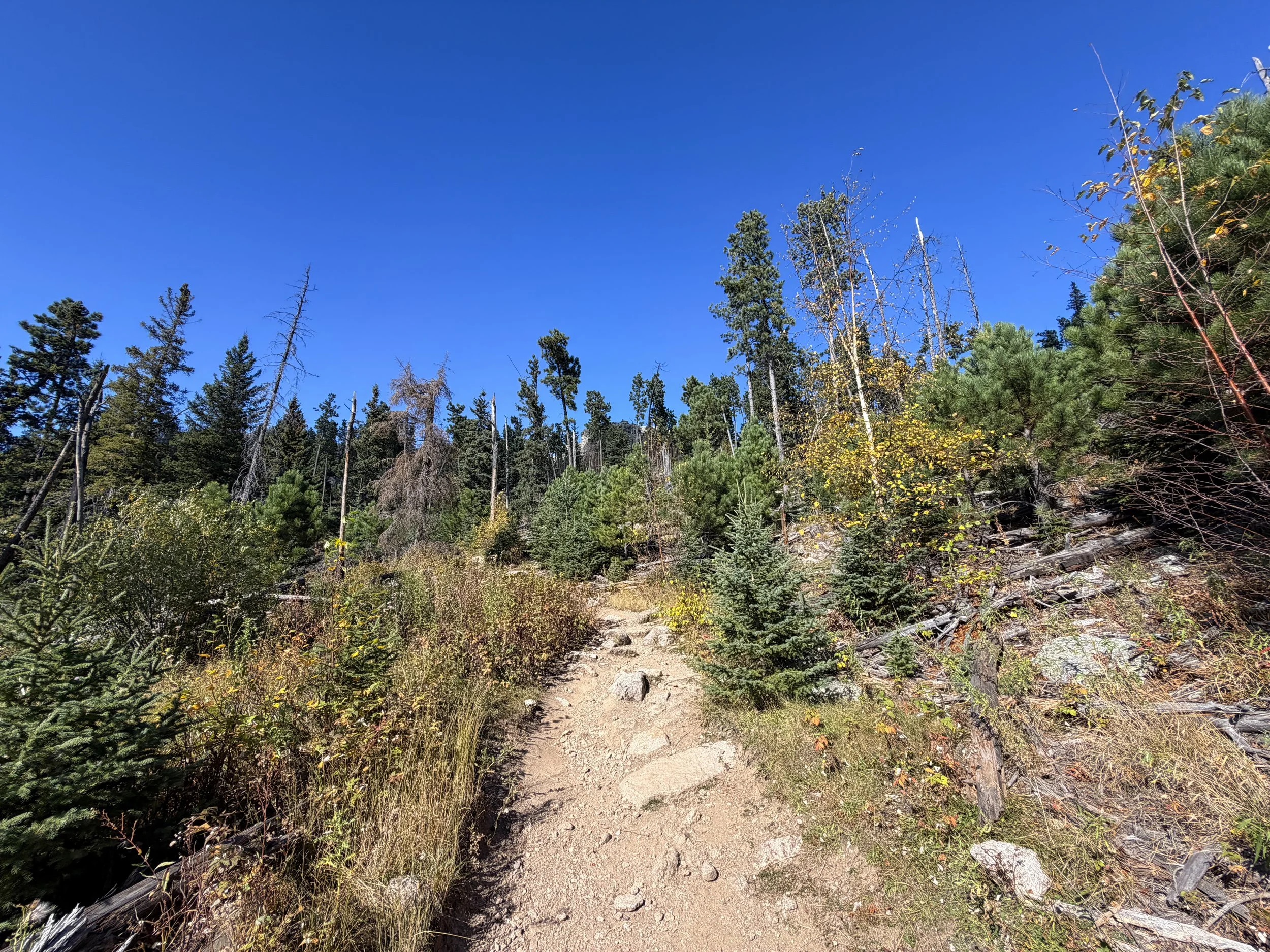 Black Elk Peak Hike via Custer State Park Black Hills South Dakota