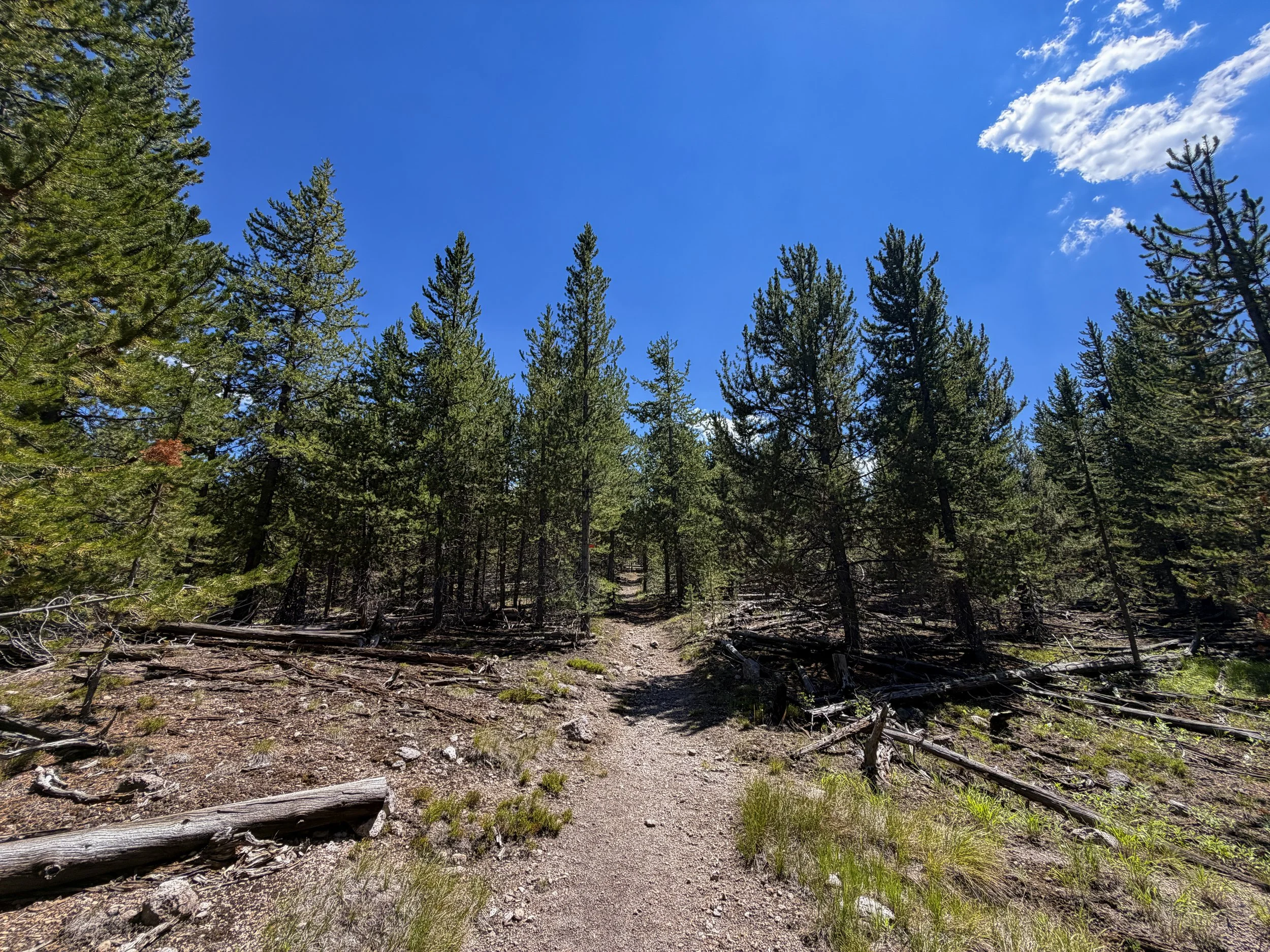 Fern Cascade Loop Trail Yellowstone National Park Wyoming