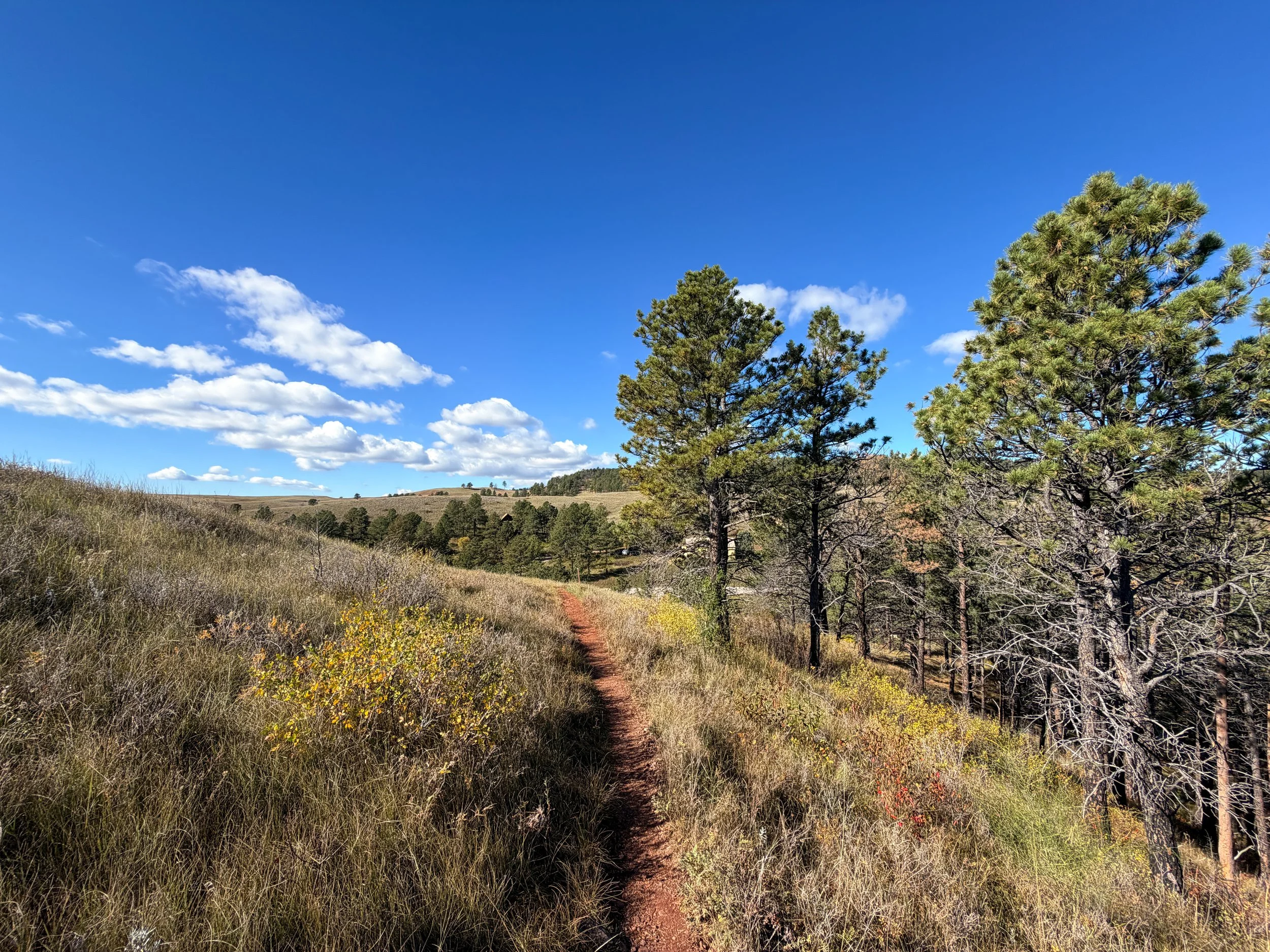 Prairie Vista Loop Trail Wind Cave National Park South Dakota