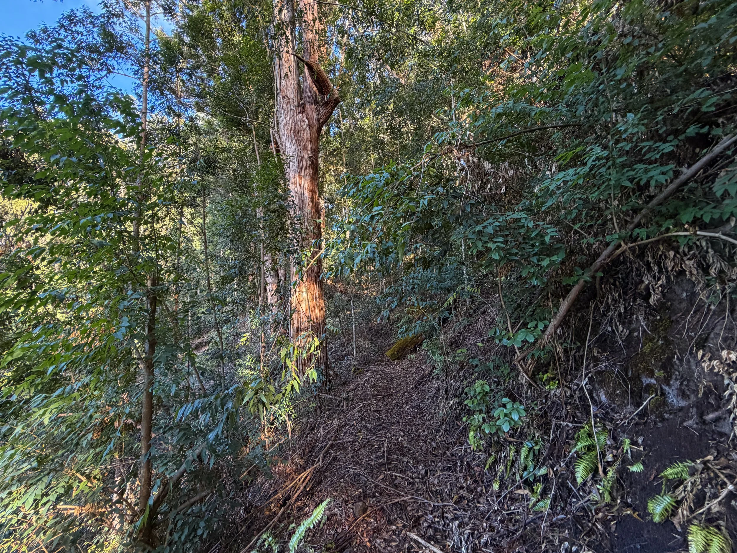 Mokuleia Trail Peacock Flats Oahu Hawaii
