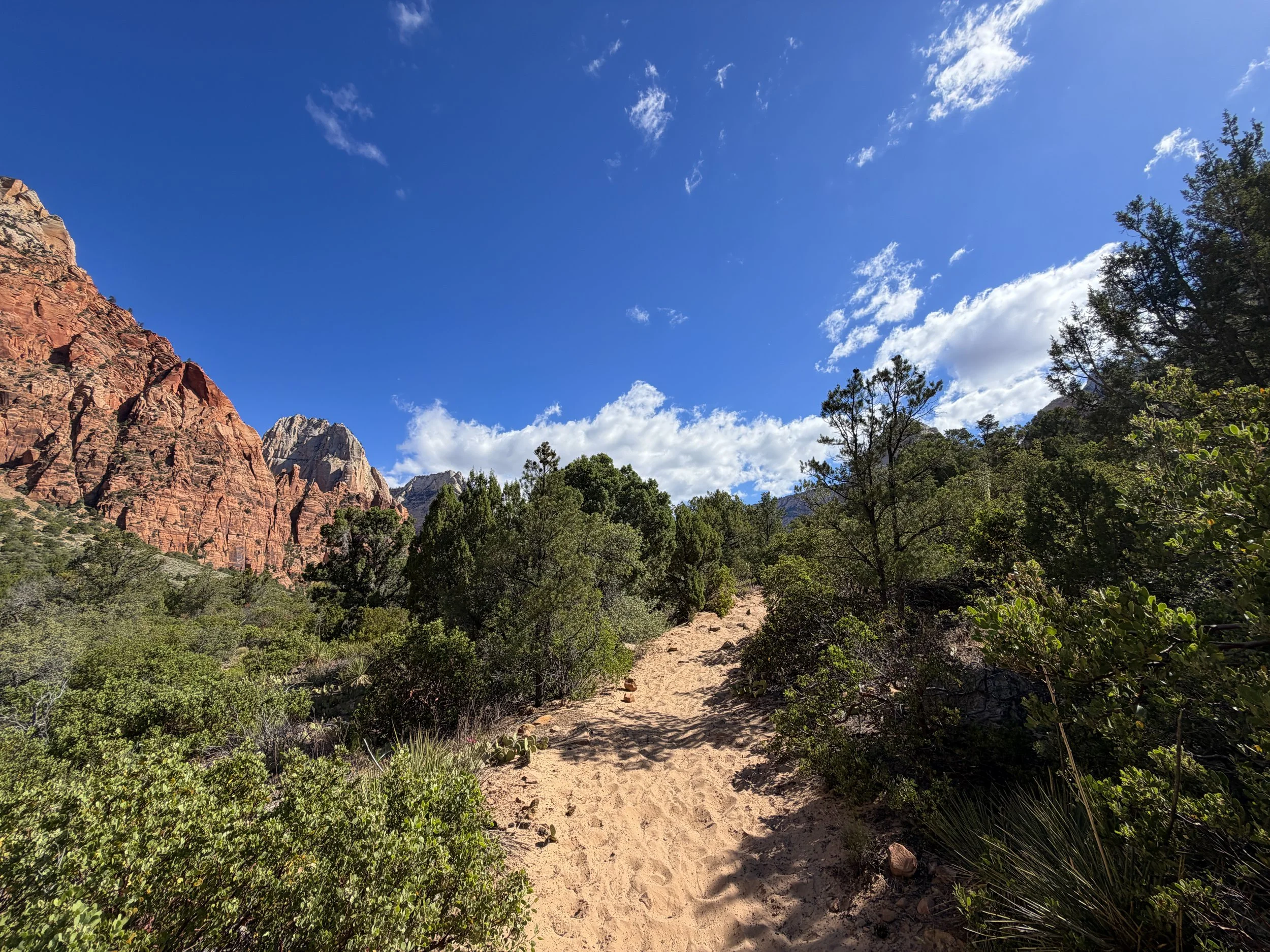 Sand Bench Trail Zion National Park Utah