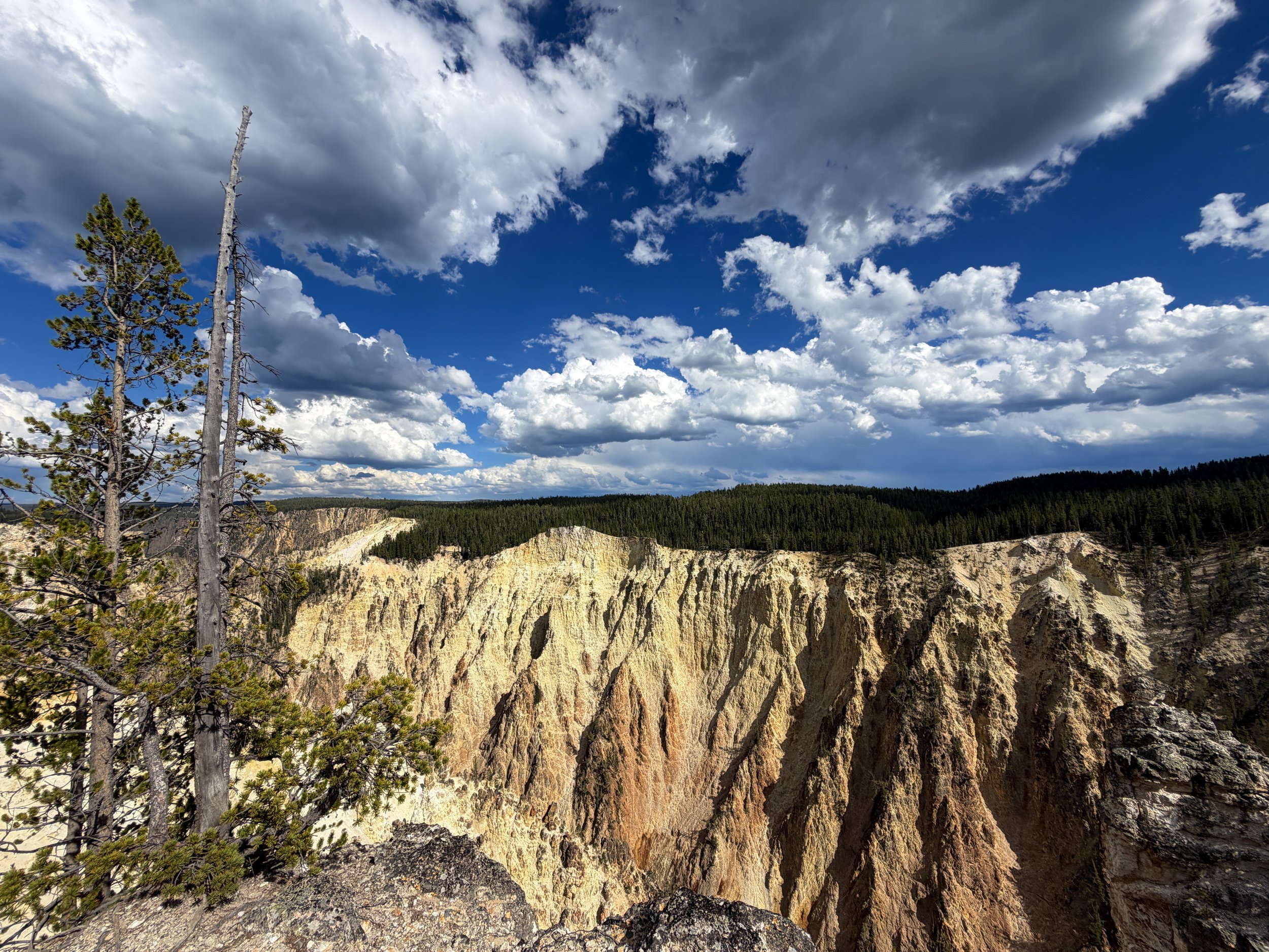 North Rim Trail Yellowstone National Park Wyoming