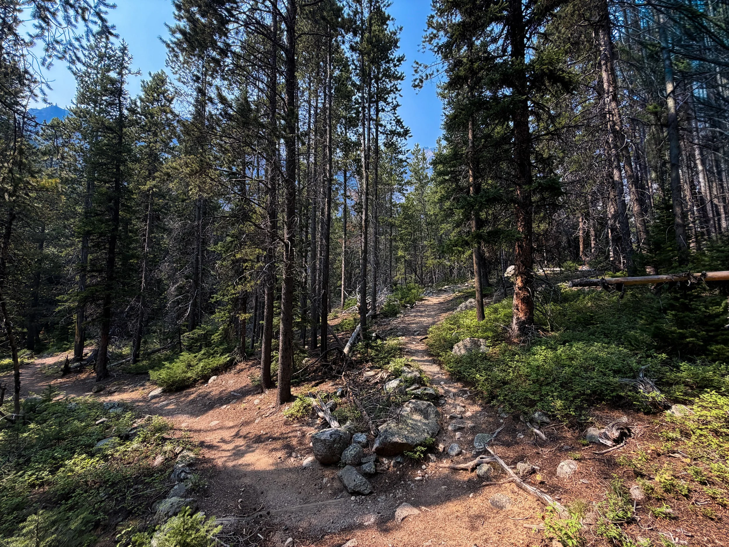 Beaten Path Trail Beartooth Mountains Montana