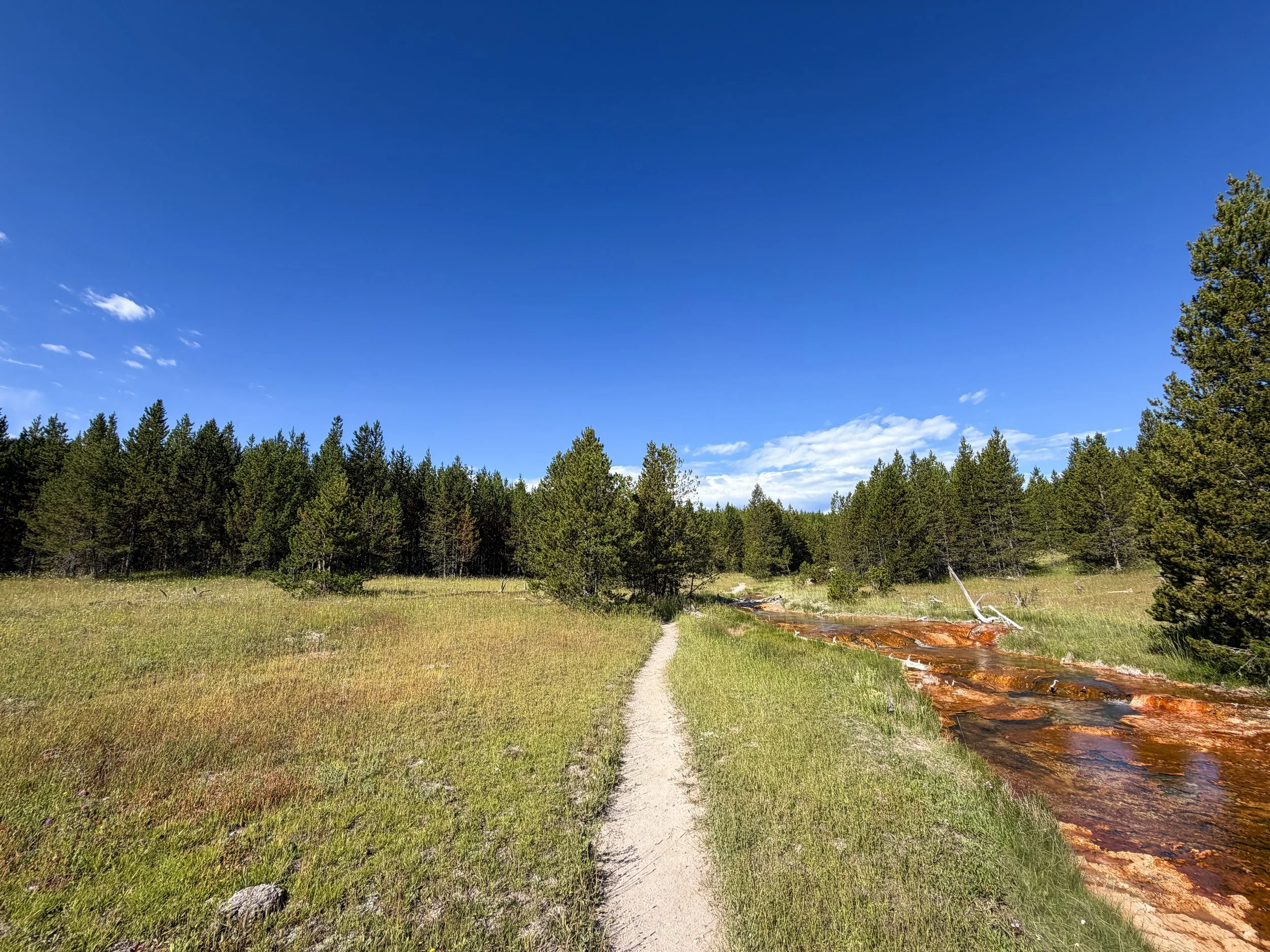 Imperial Geyser Trail Yellowstone National Park Wyoming