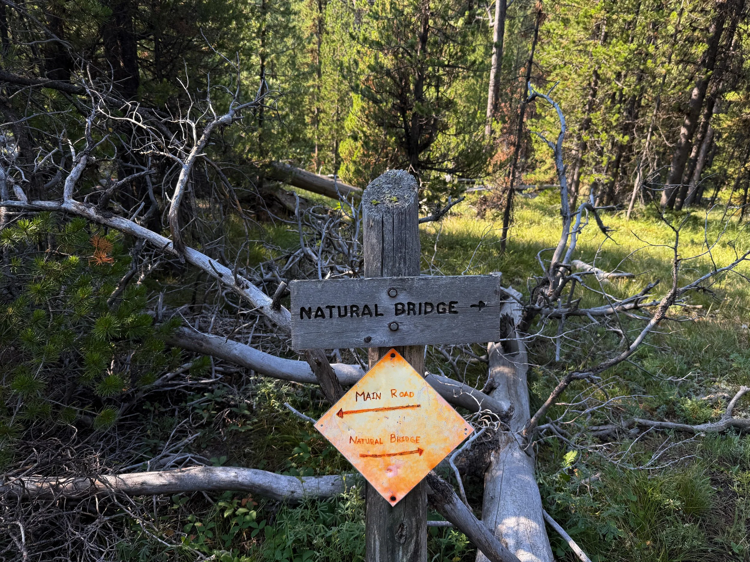 Natural Bridge Hike Yellowstone National Park Wyoming