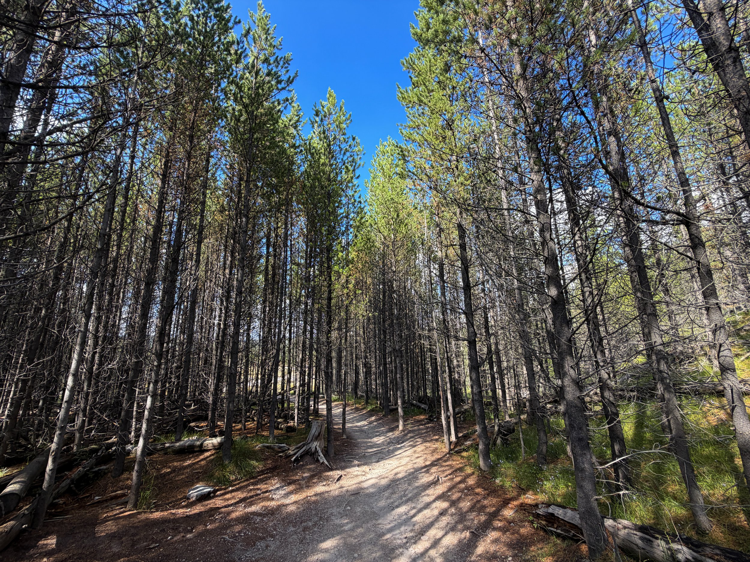 Artists Paintpots Trail Yellowstone National Park Wyoming