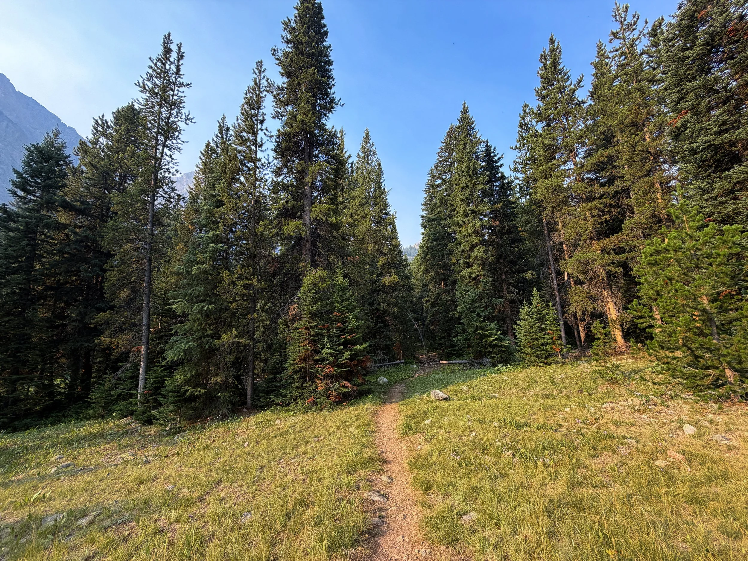 Beaten Path Trail Beartooth Mountains Montana