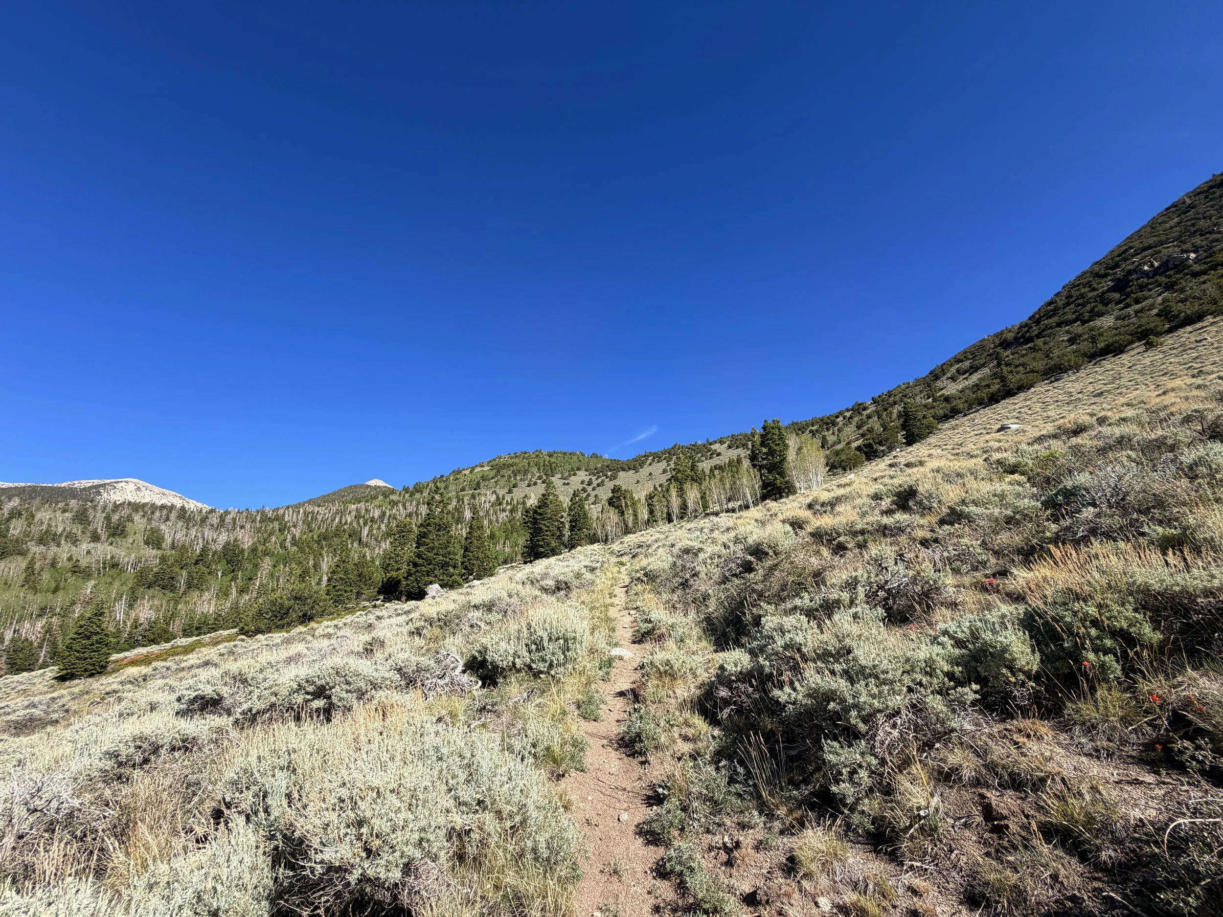 Johnson Lake Hike Great Basin National Park Nevada