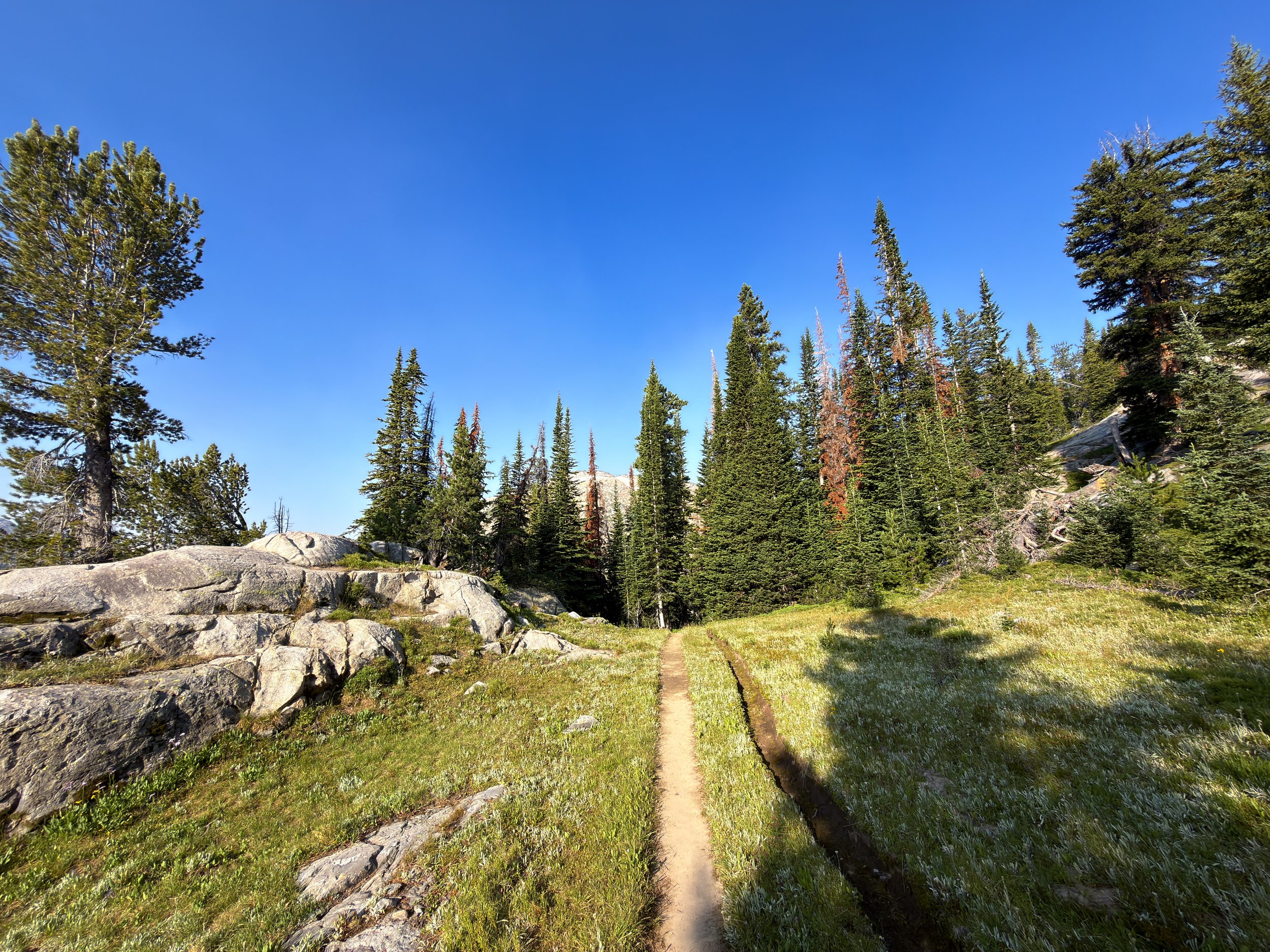 Beaten Path Trail Beartooth Mountains Montana