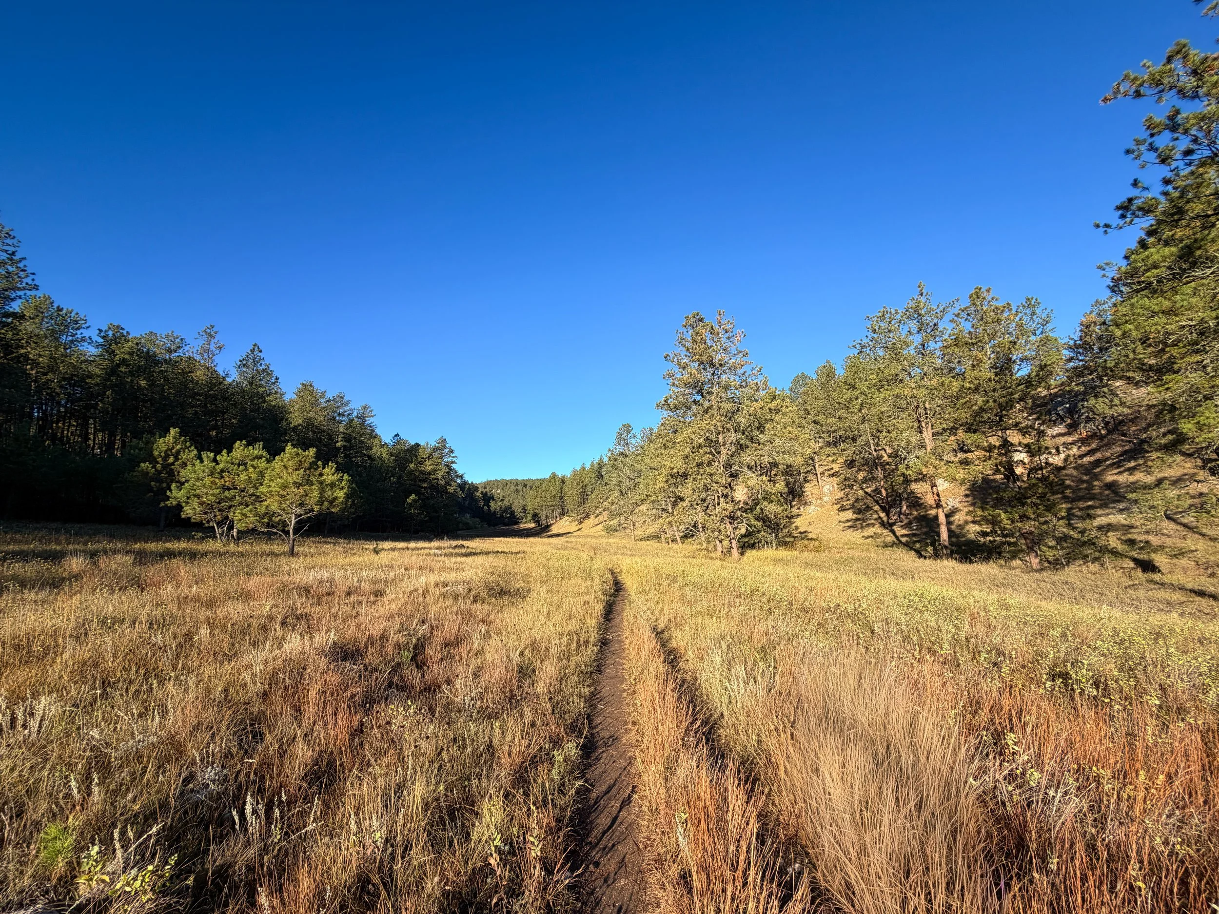 Cold Brook Canyon Hike Wind Cave National Park South Dakota