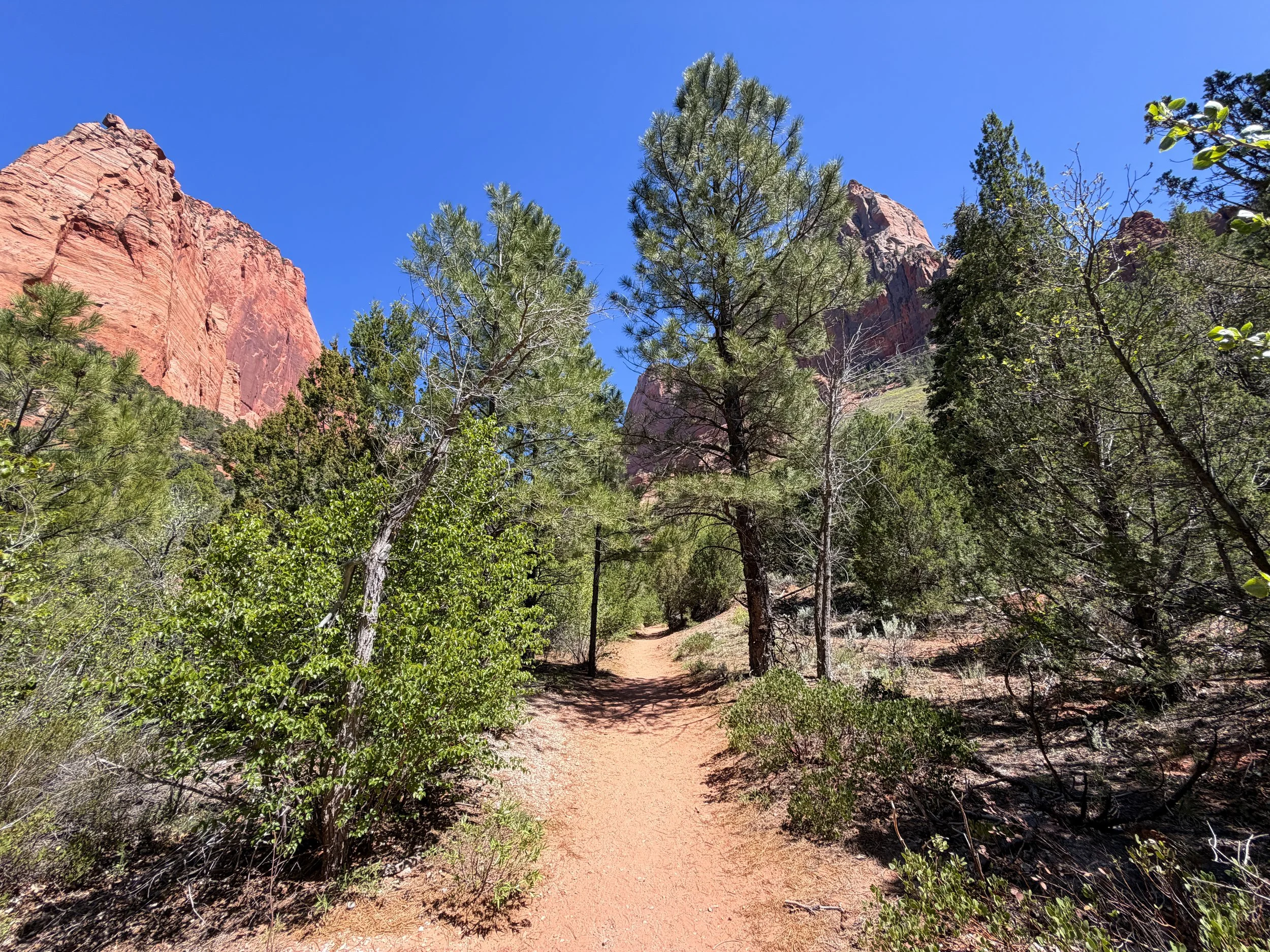 Taylor Creek Trail Zion National Park Utah