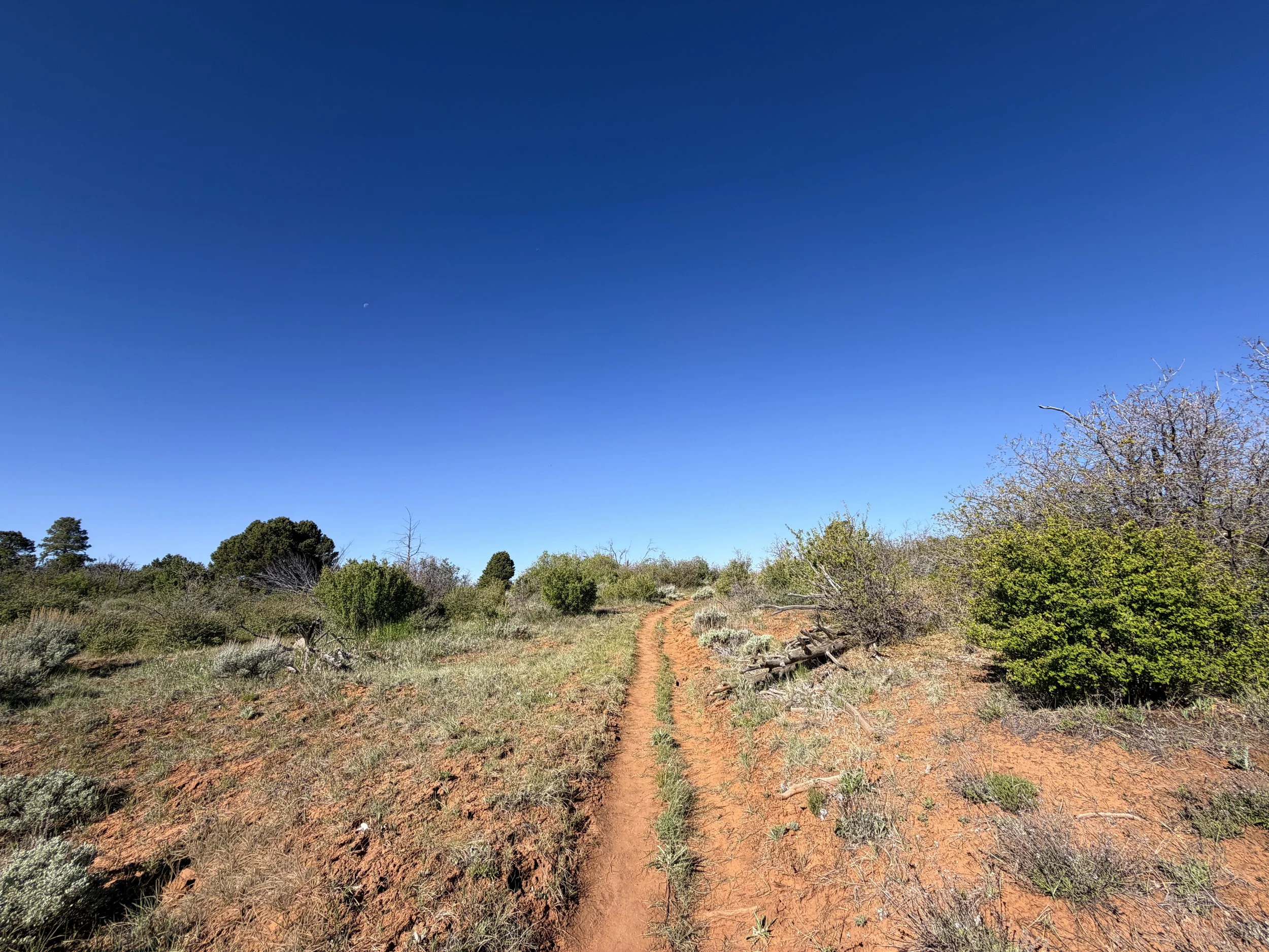 Stave Spring Trail to Deertrap Mountain Zion National Park Utah