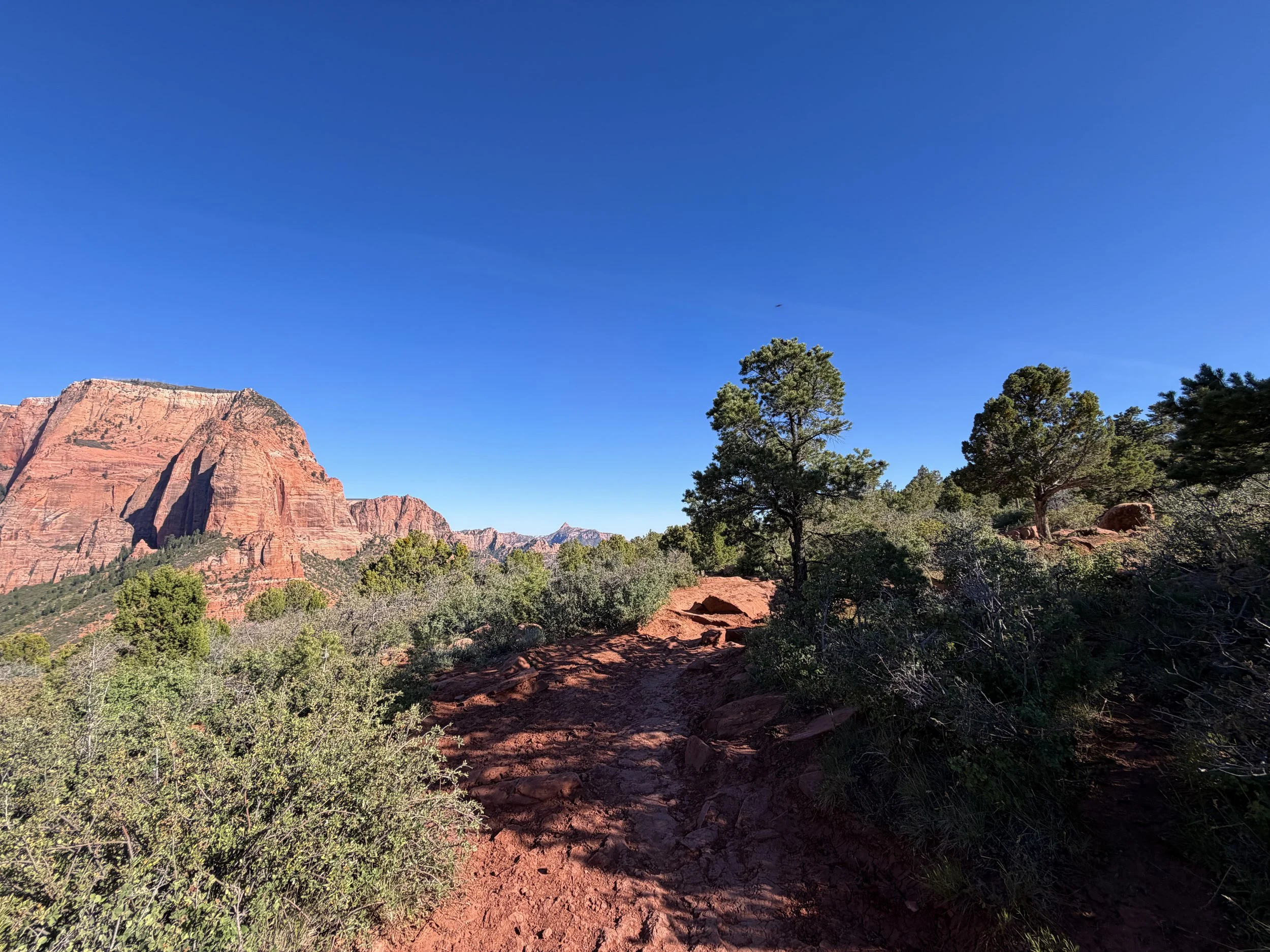 Timber Creek Overlook Trail Zion National Park Utah