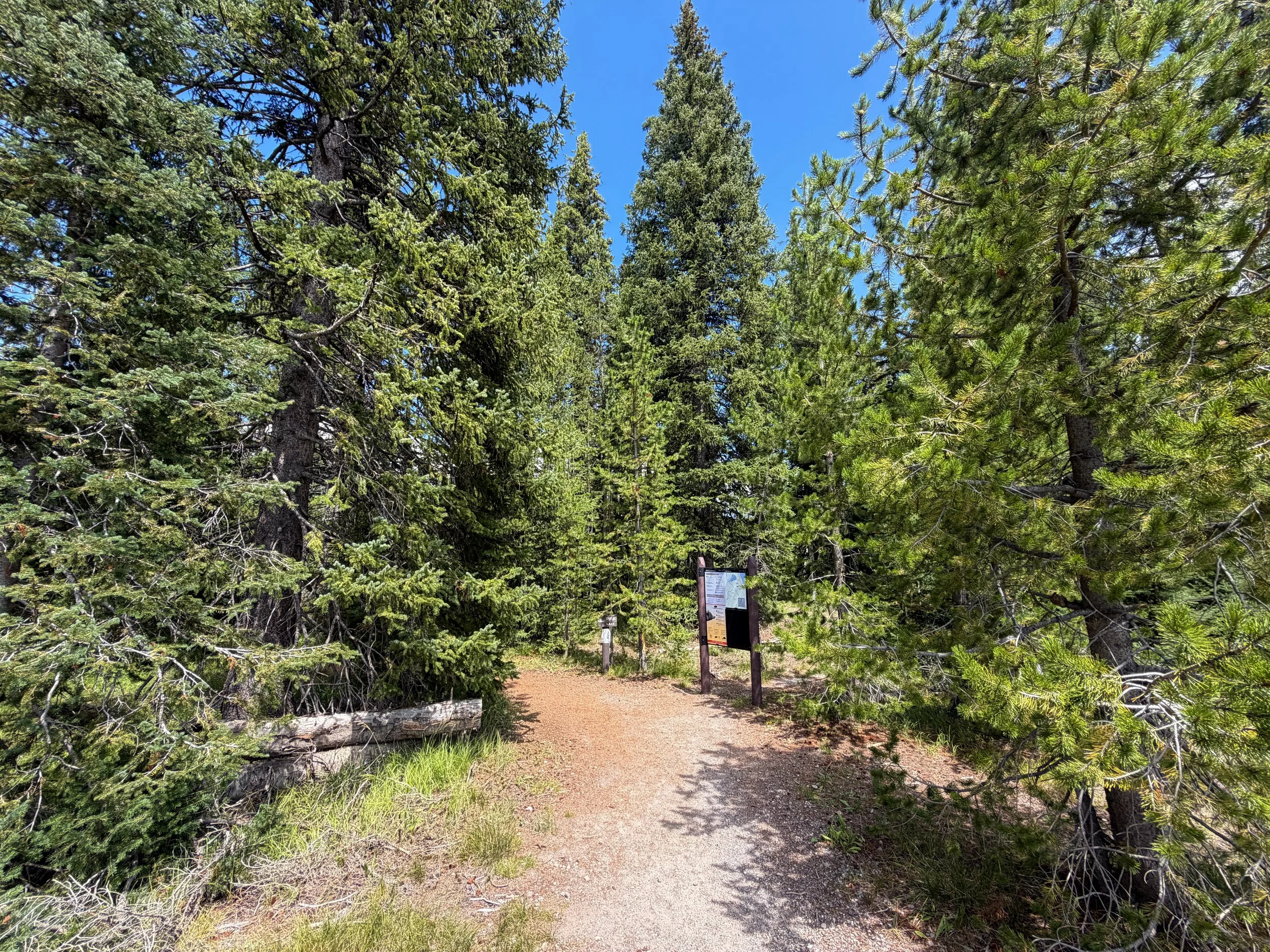 Duck Lake Trailhead Yellowstone National Park Wyoming