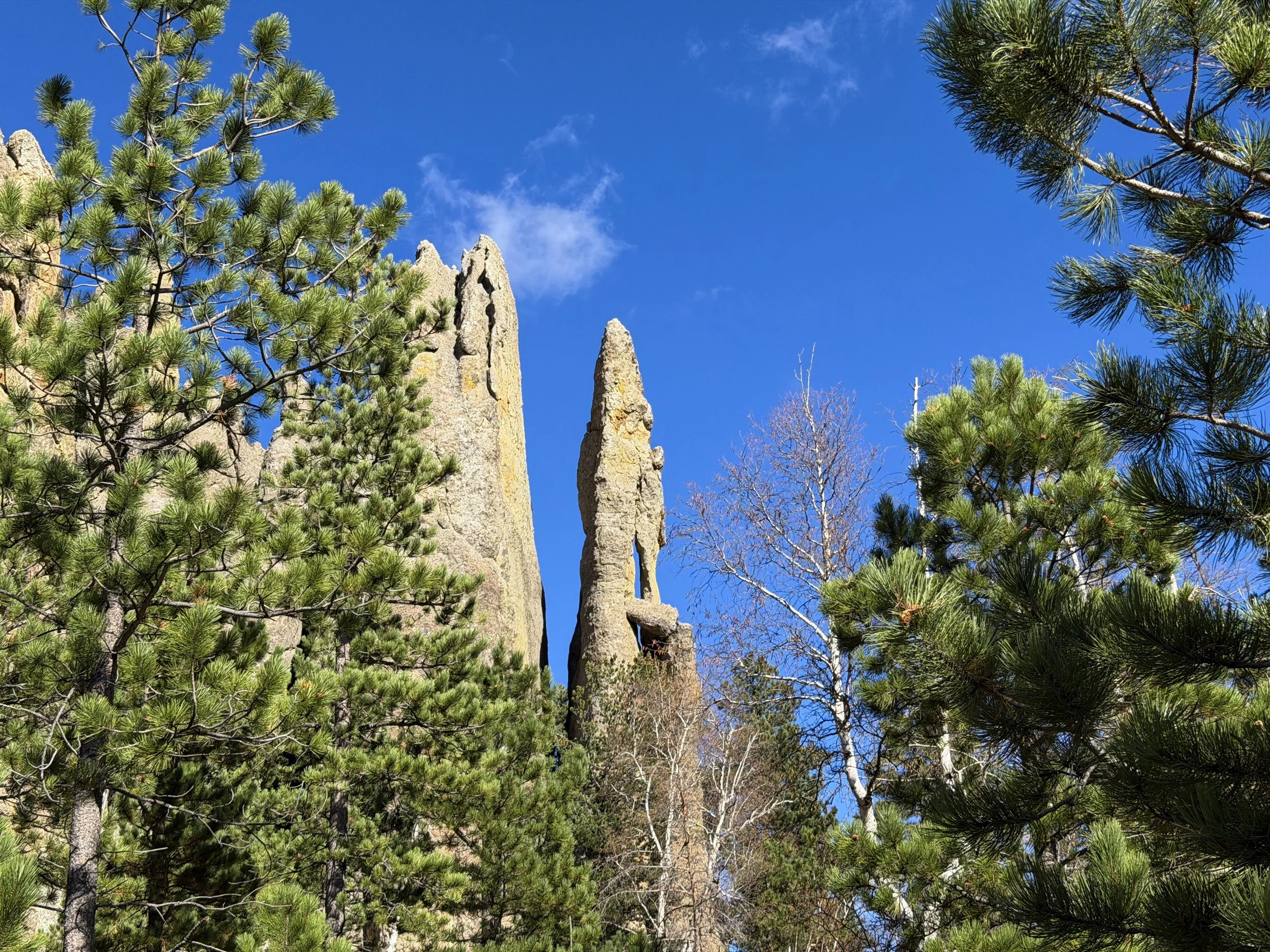 Cathedral Spires Trail Custer State Park Black Hills South Dakota