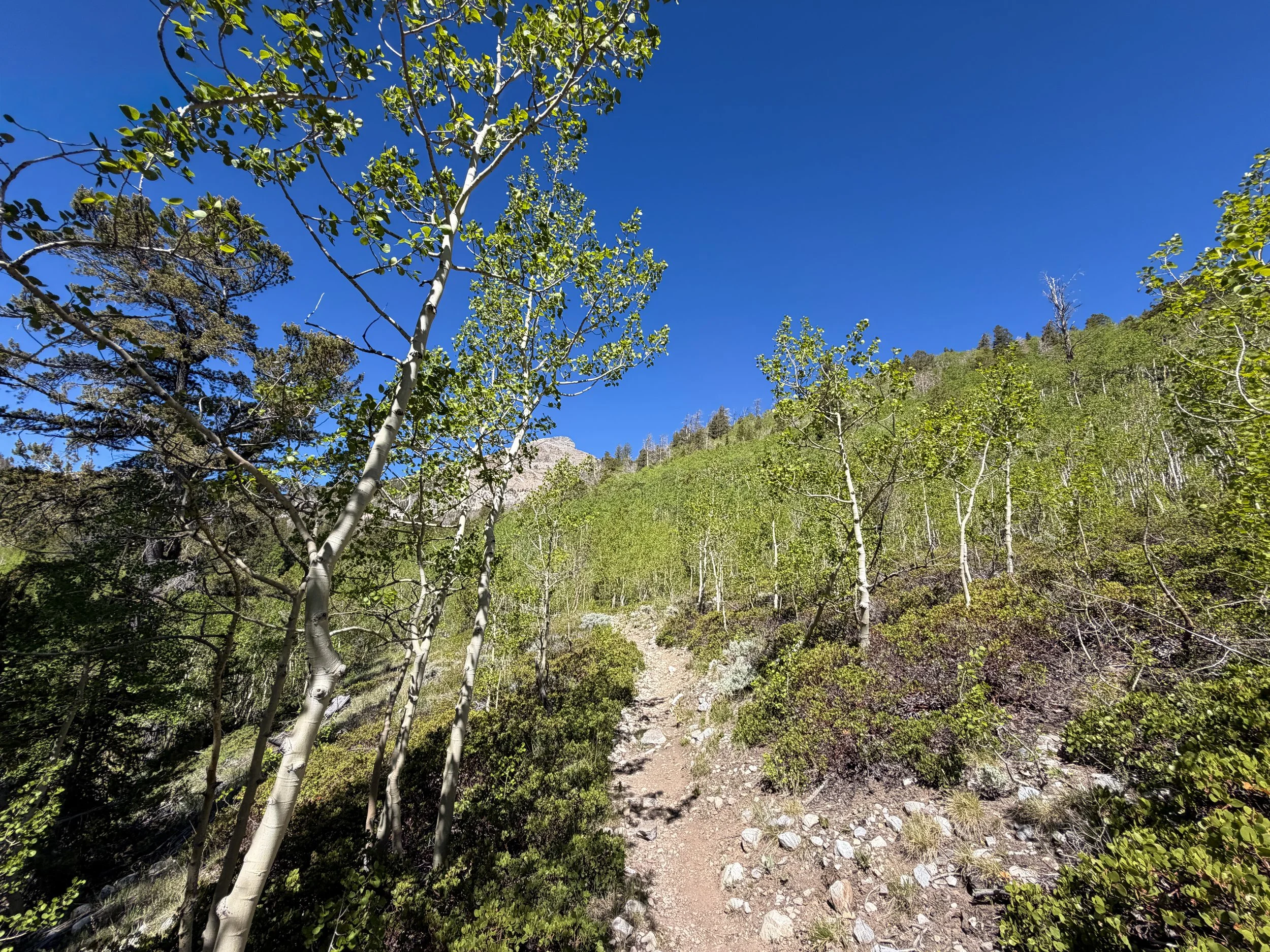 Baker Lake Trail Great Basin National Park Nevada