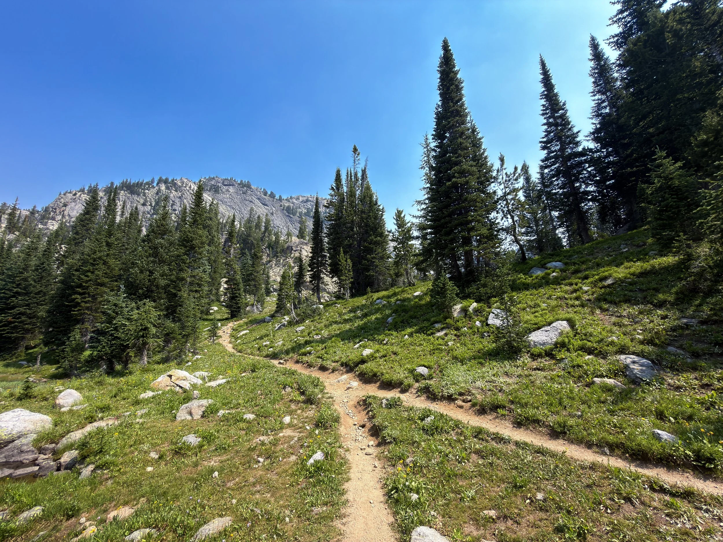 Russel Creek Trail The Beaten Path Beartooth Mountains Montana