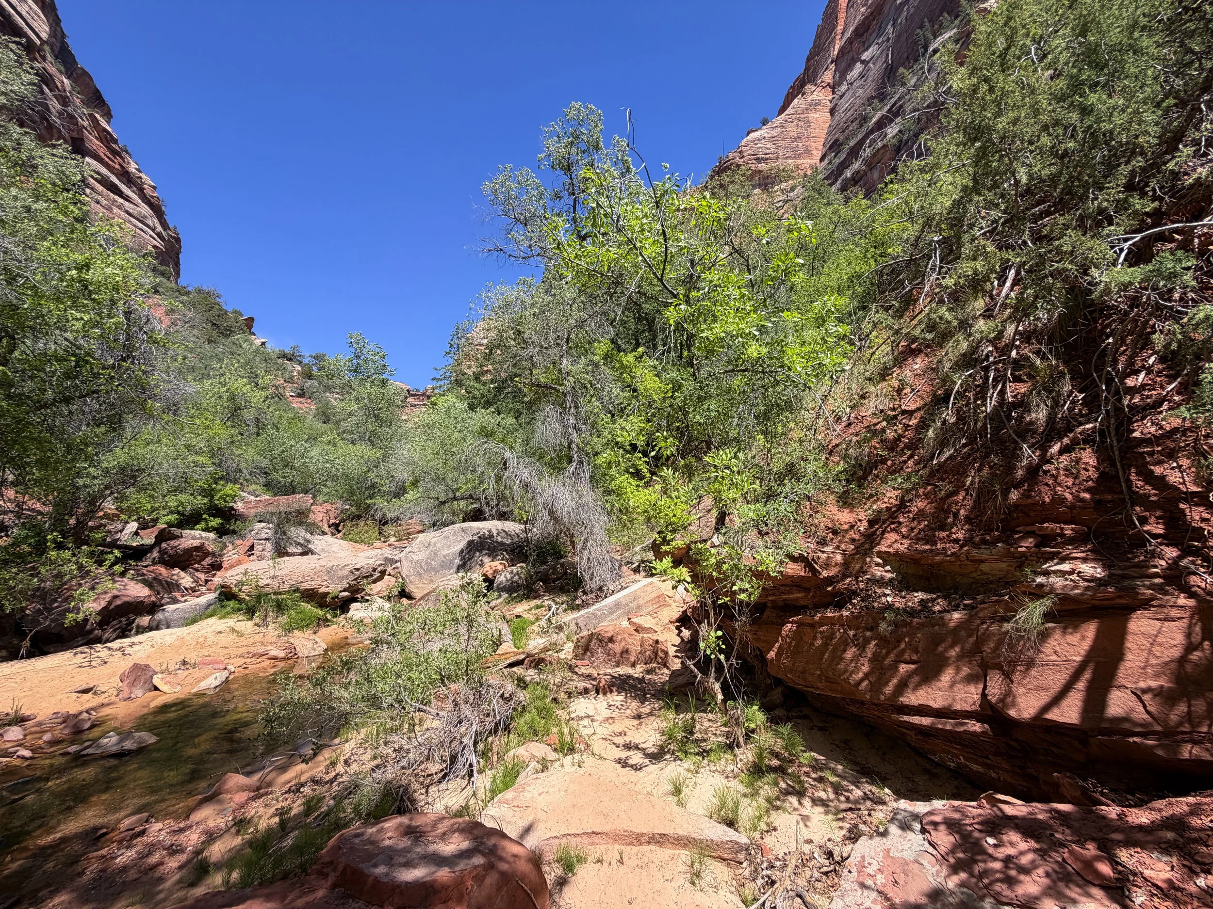Subway Trail Zion National Park Utah