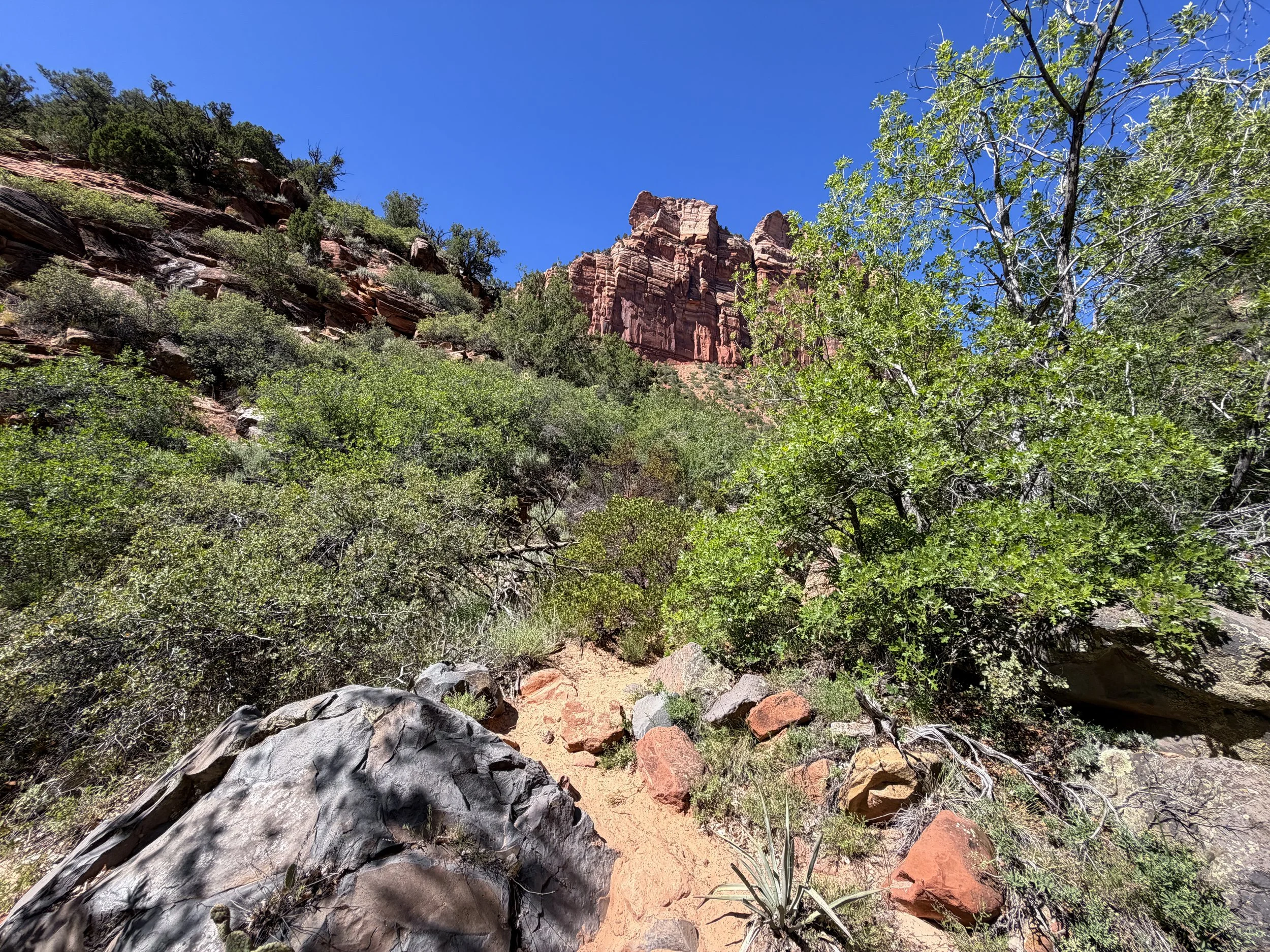 Subway Trail via Left Fork North Creek Zion National Park Utah