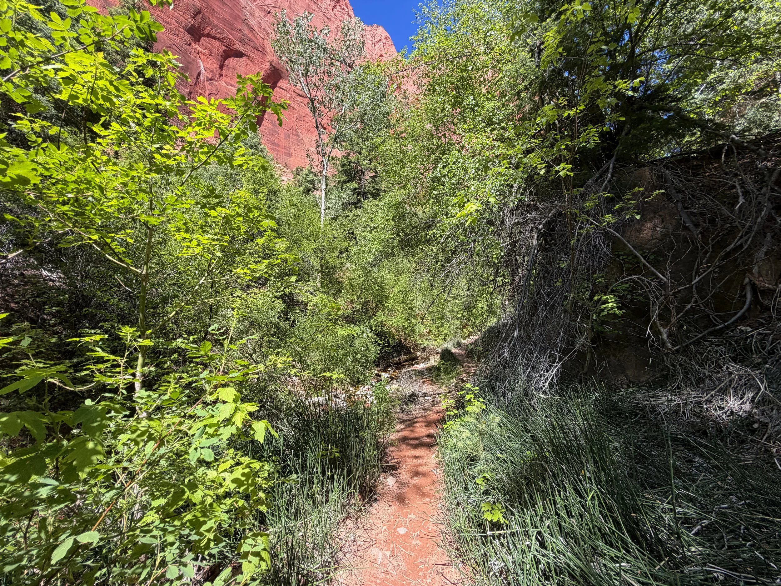 Taylor Creek Trail Zion National Park Utah