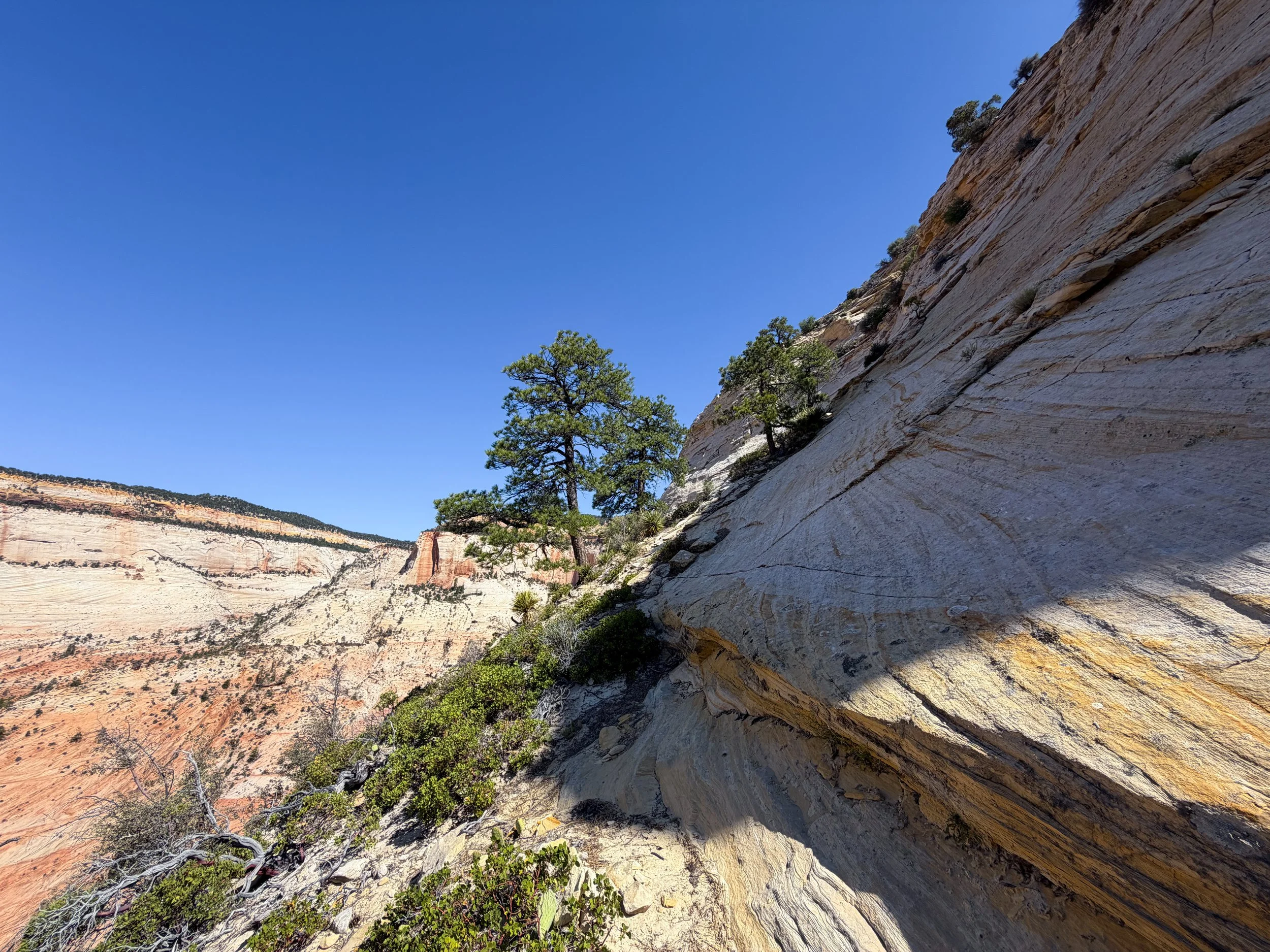South Ariel Peak Climb Zion National Park Utah