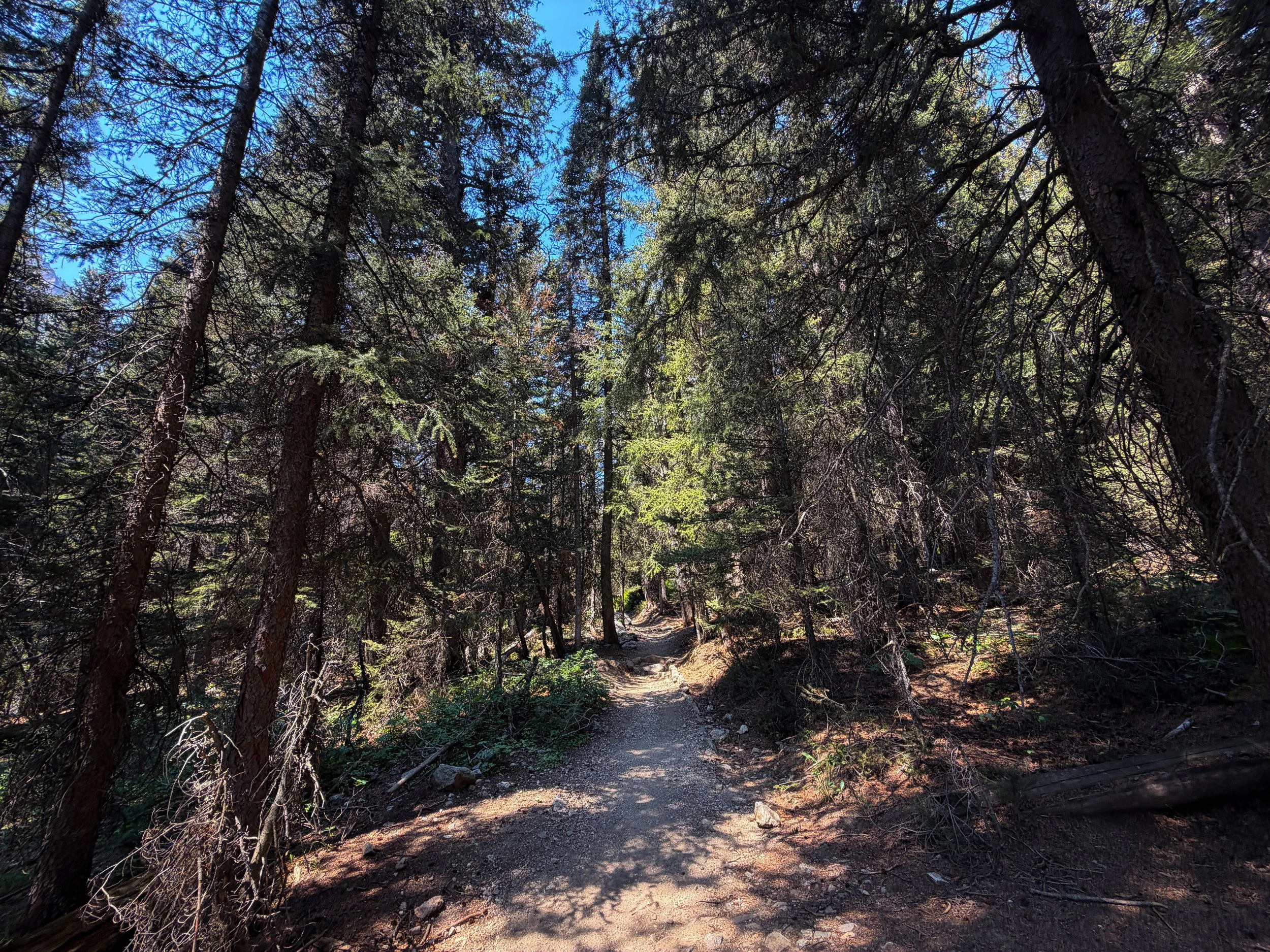 Cascade Canyon Hike Grand Teton National Park Wyoming