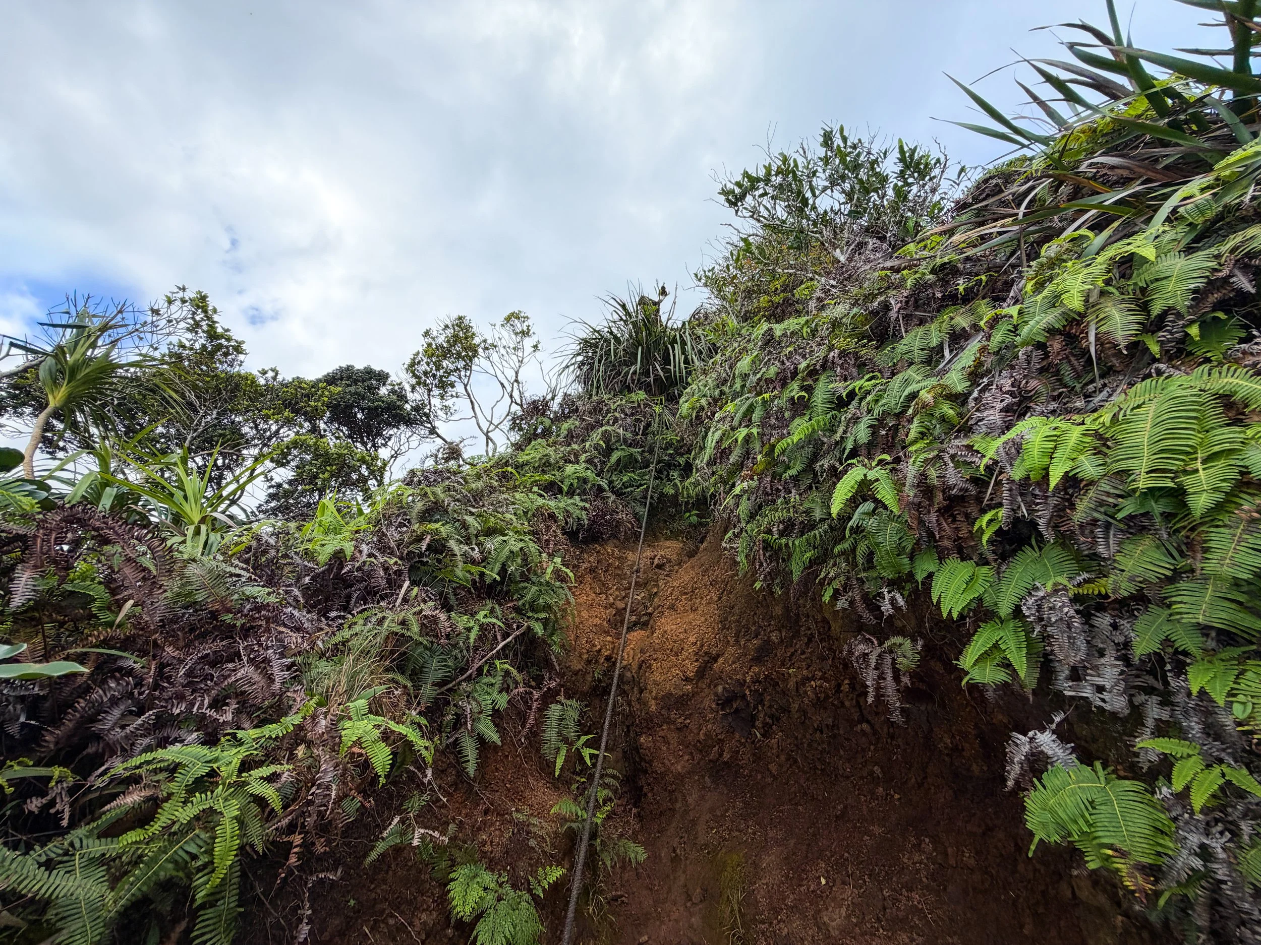 Kaau Crater Trail Oahu Hawaii