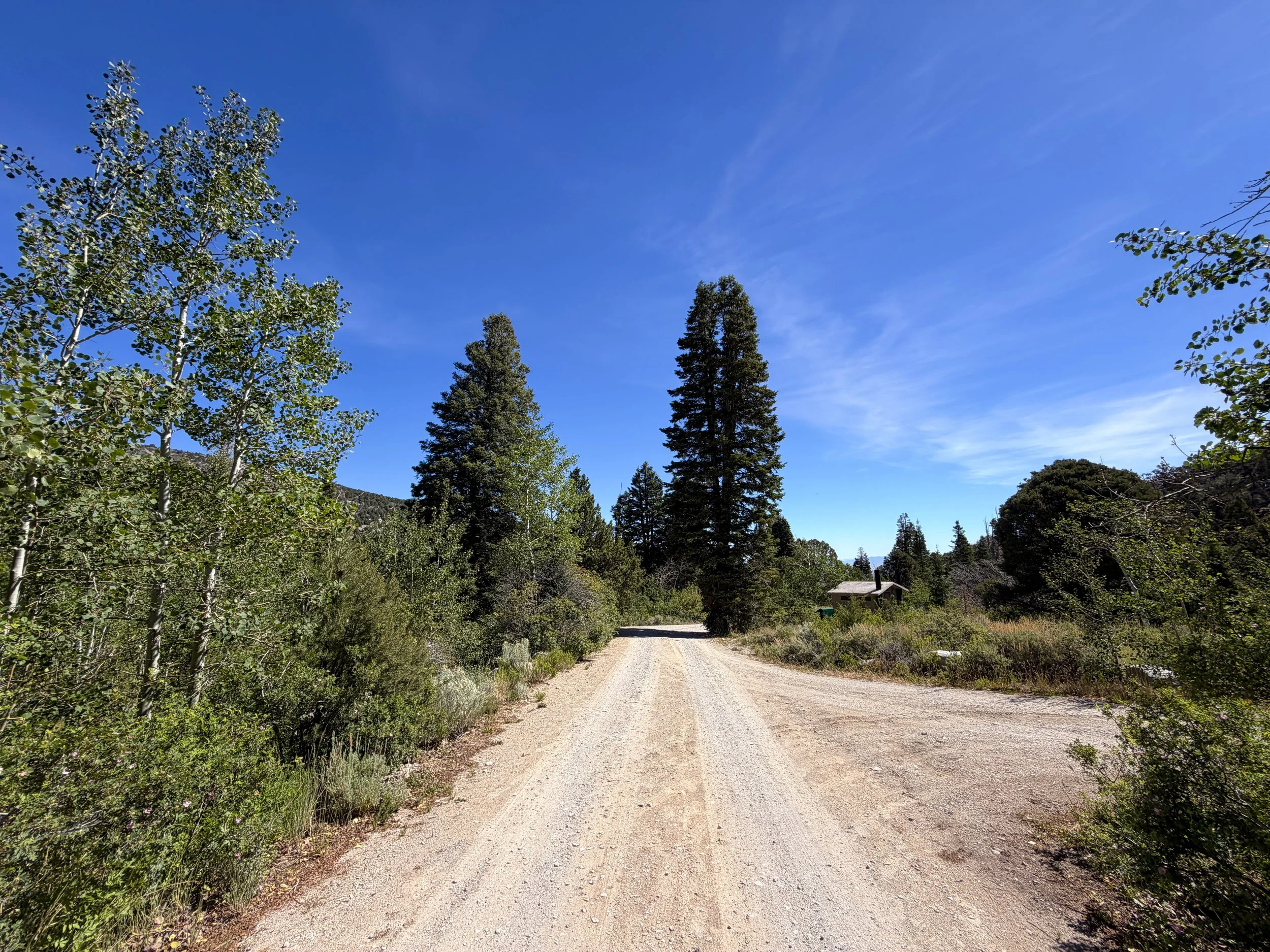 Baker Creek Campground Pole Canyon Trail Great Basin National Park Nevada