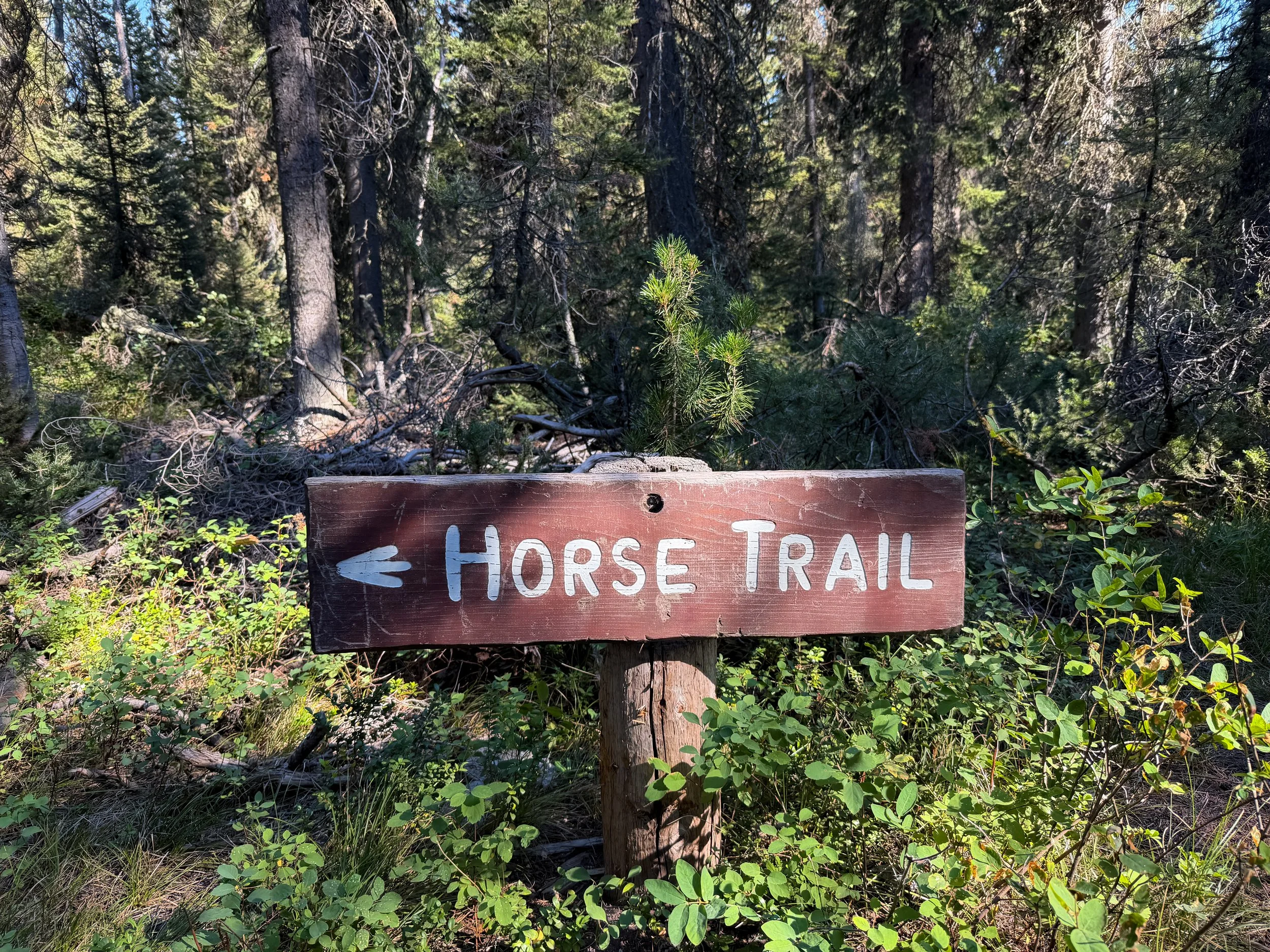 Jenny Lake Loop Trail Grand Teton National Park Wyoming