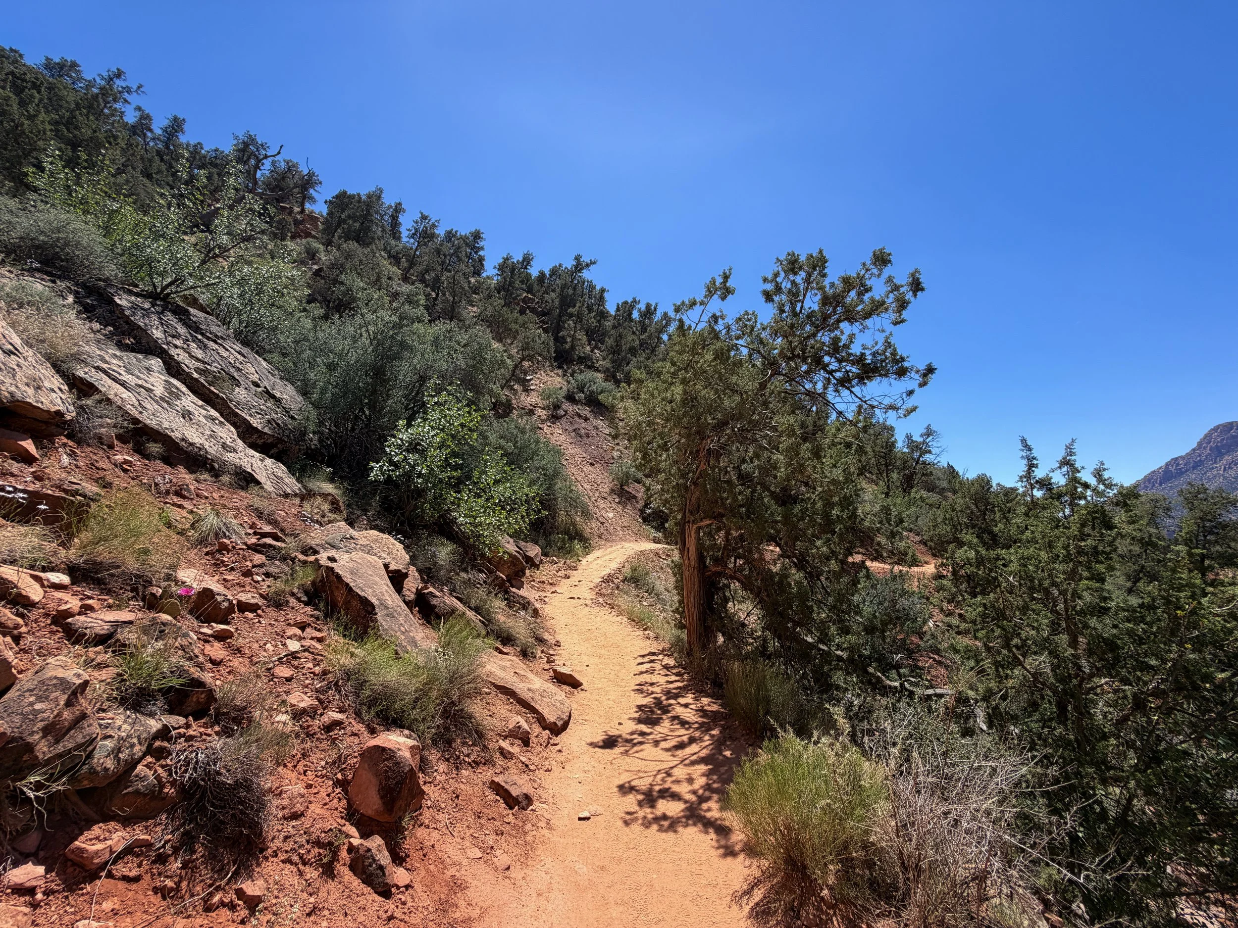 Watchman Trail Zion National Park Utah