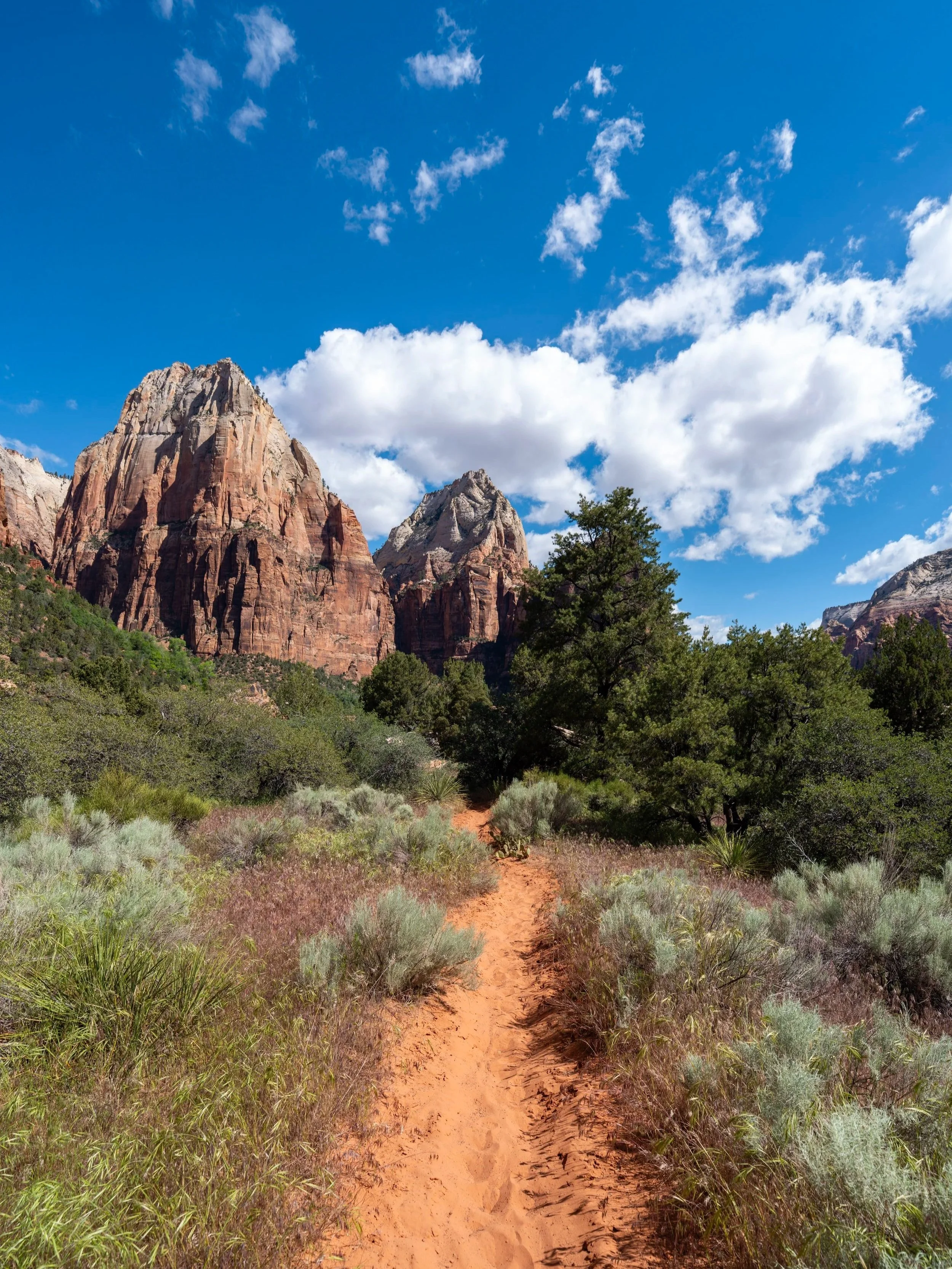 Sand Bench Trail Zion National Park