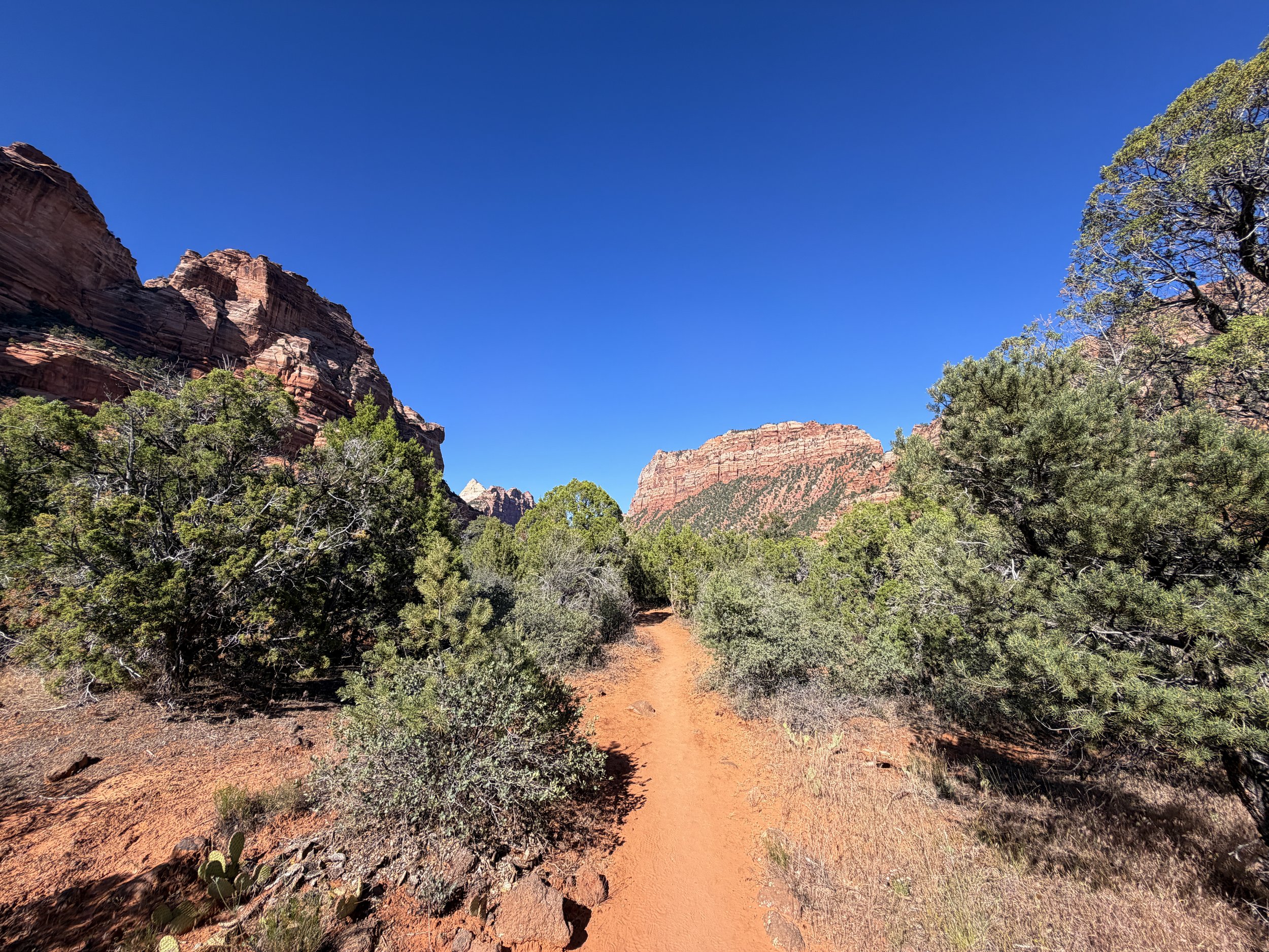 Left Fork Trail to the Subway Zion National Park Utah