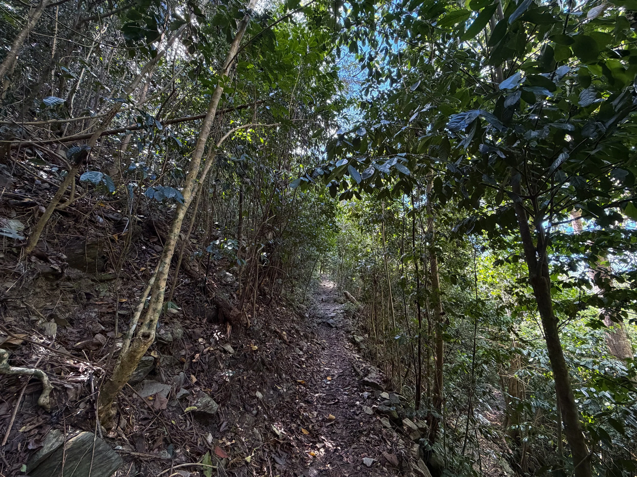 Cinnamon Bay Trail Virgin Islands National Park