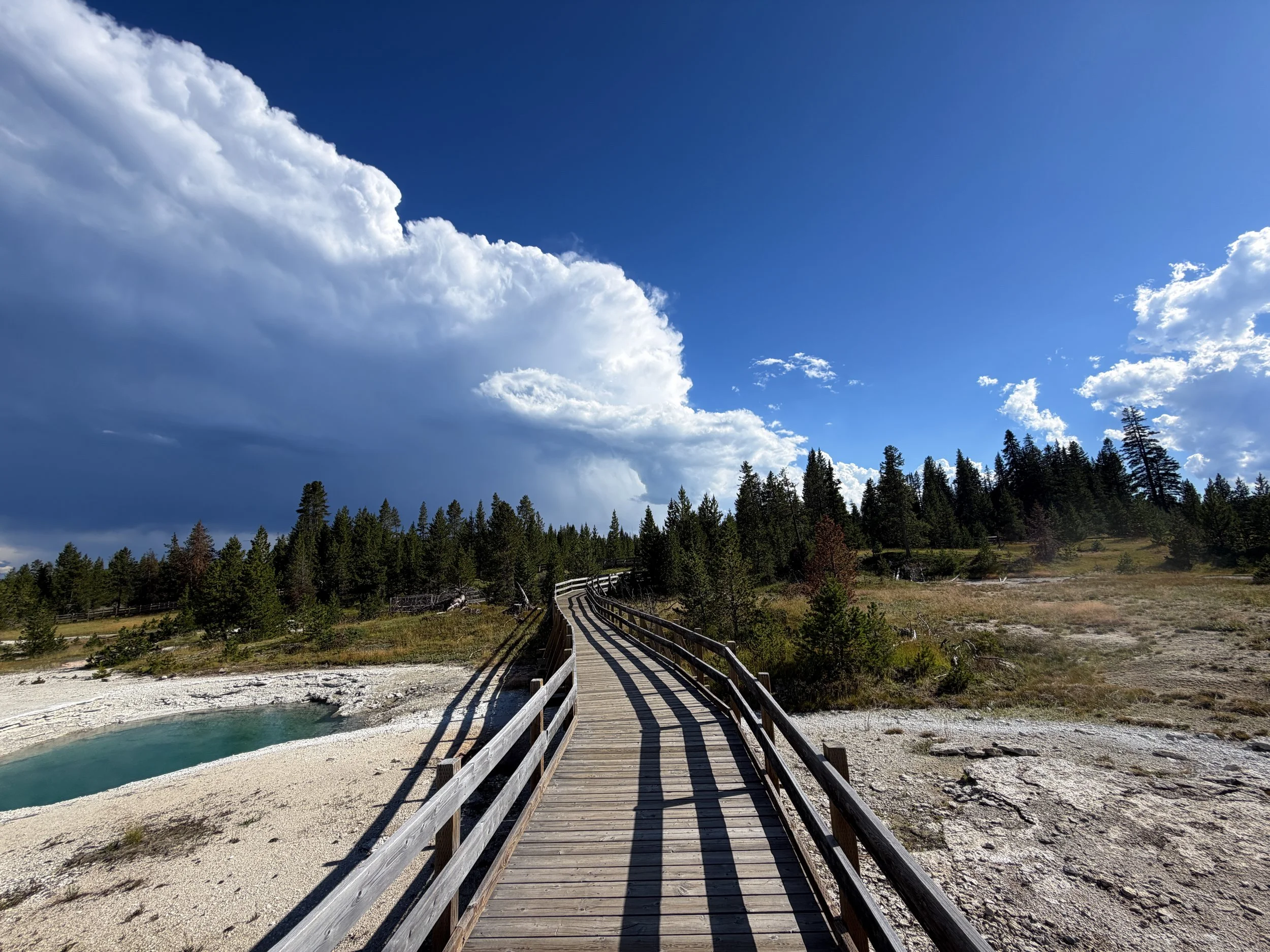 West Thumb Geyser Basin Trail Yellowstone National Park Wyoming
