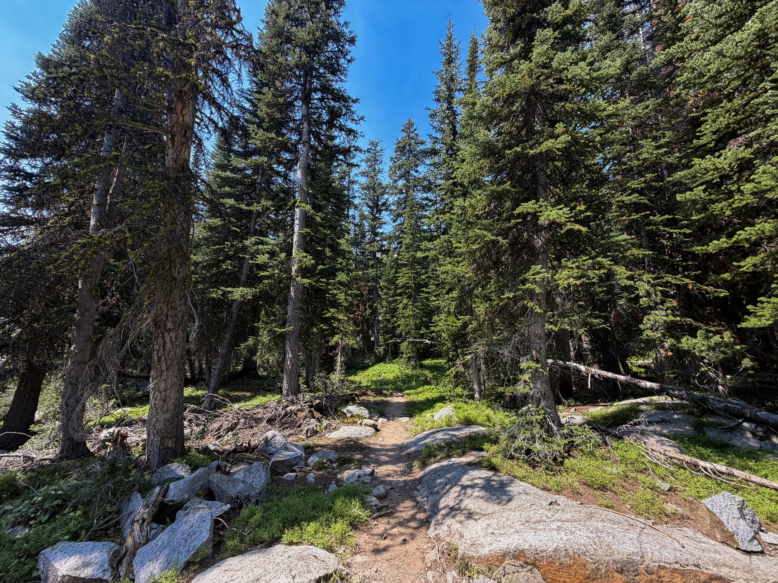 The Beaten Path Trail Beartooth Mountains Montana