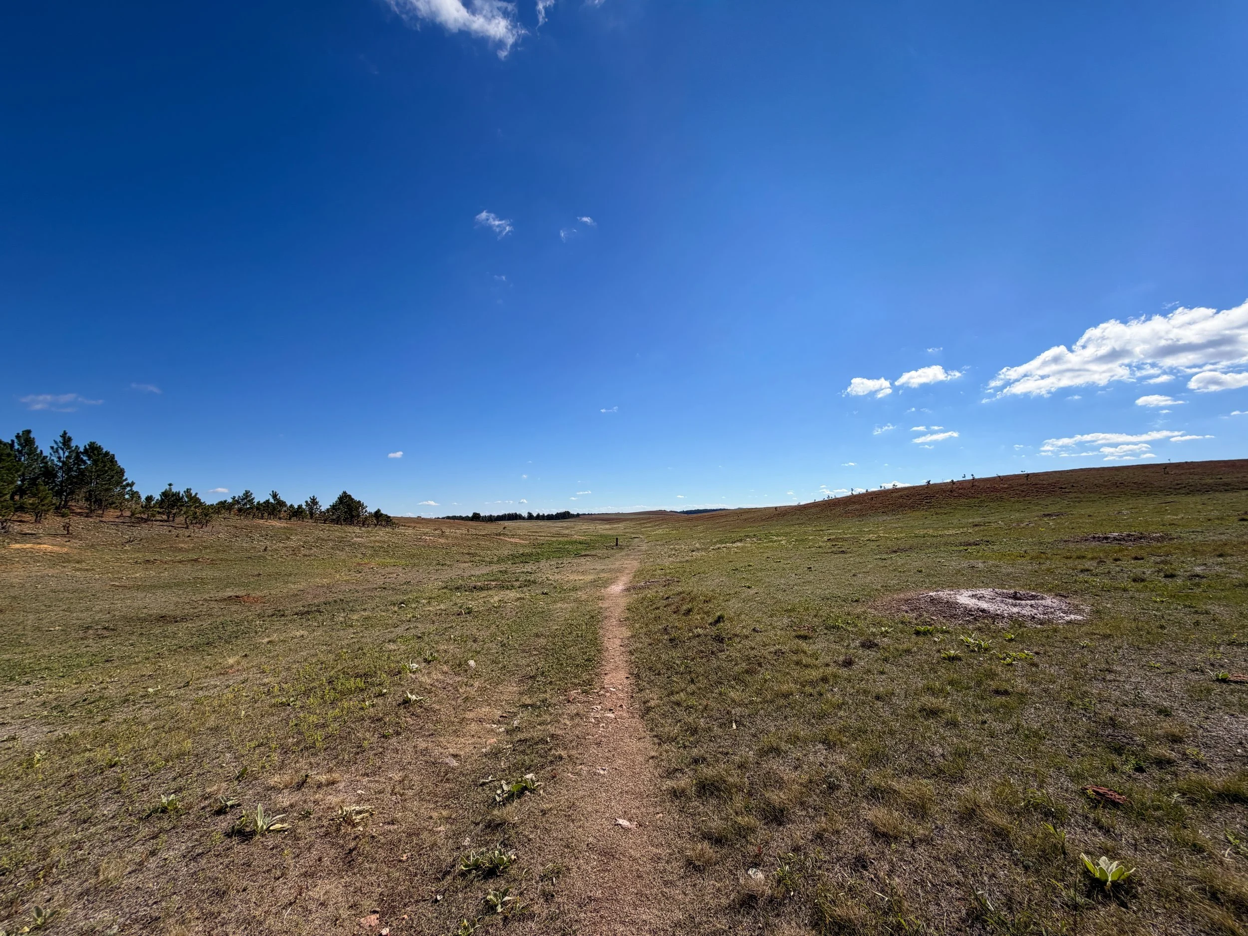 Lookout Point Hike Wind Cave National Park South Dakota