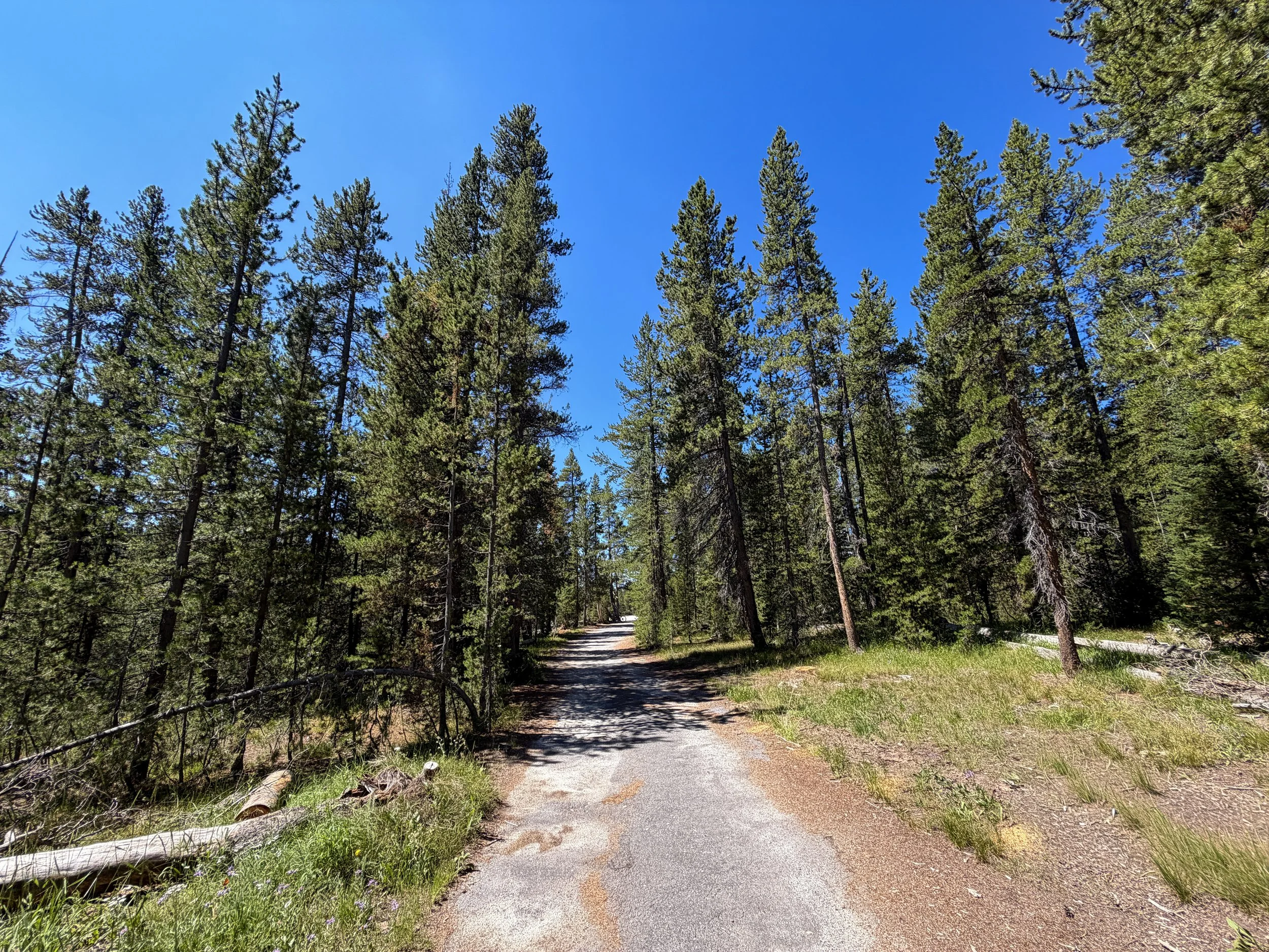 Lone Star Geyser Trail Yellowstone National Park Wyoming