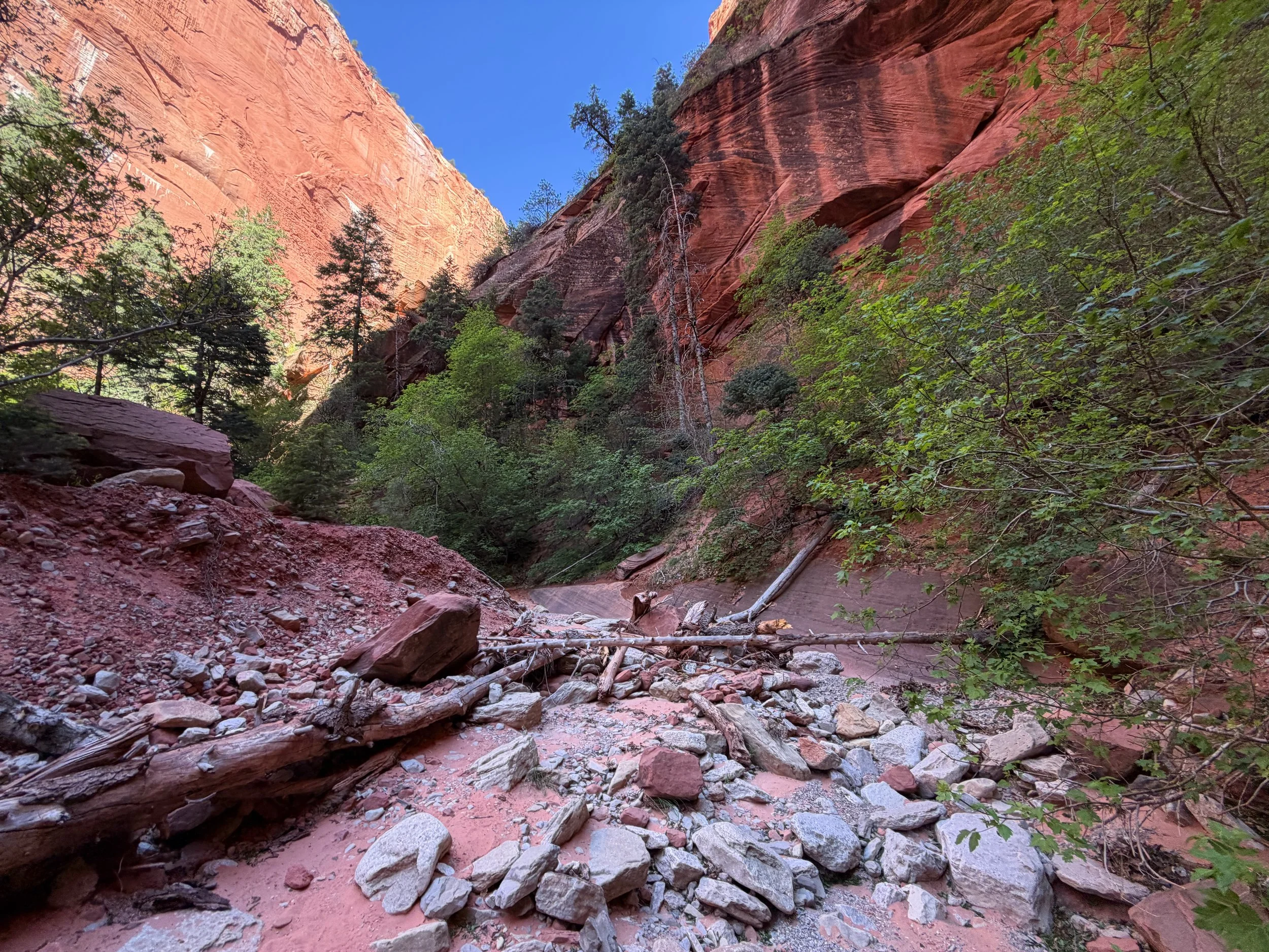 Taylor Creek Trail Zion National Park Utah