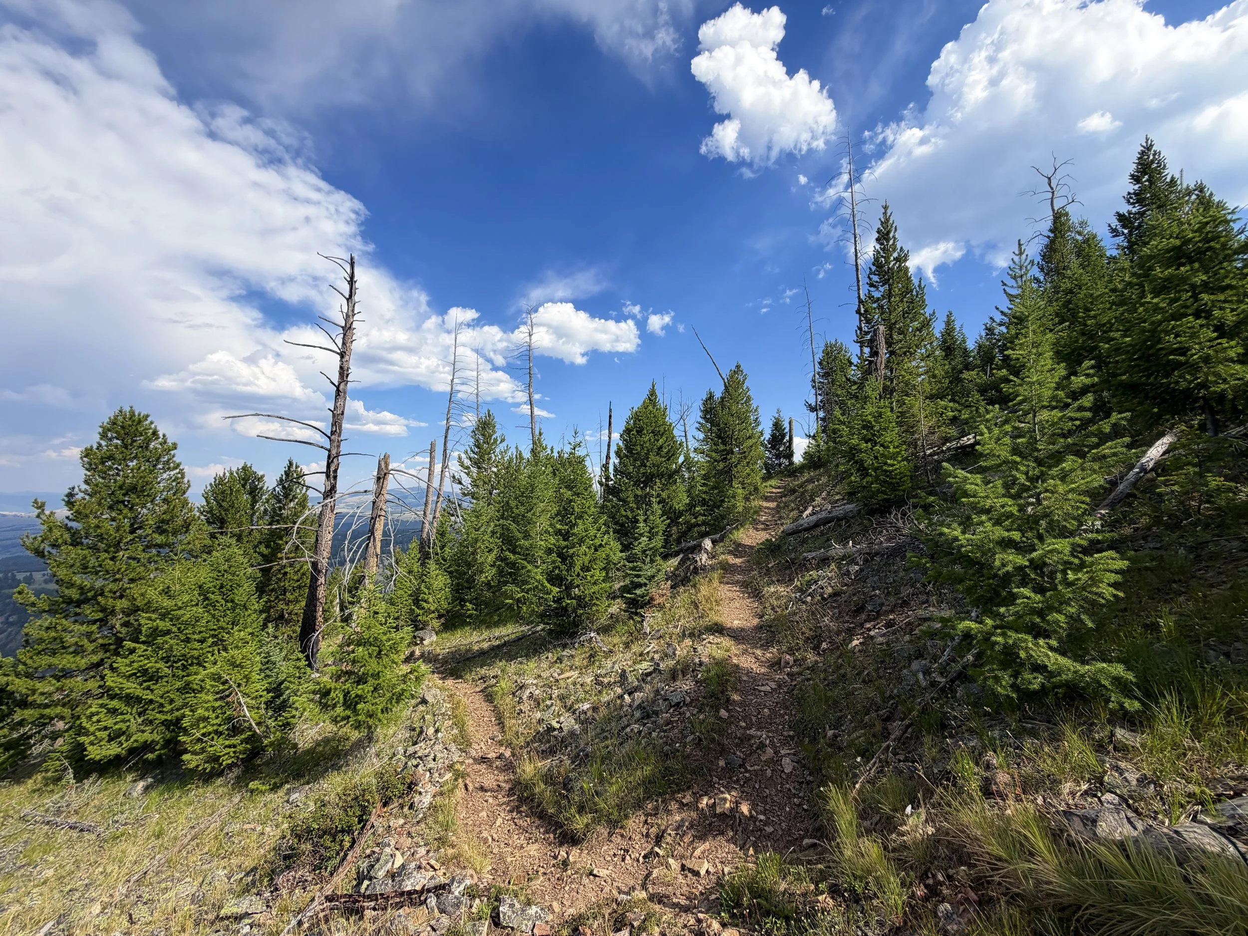 Bunsen Peak Hike Yellowstone National Park Wyoming