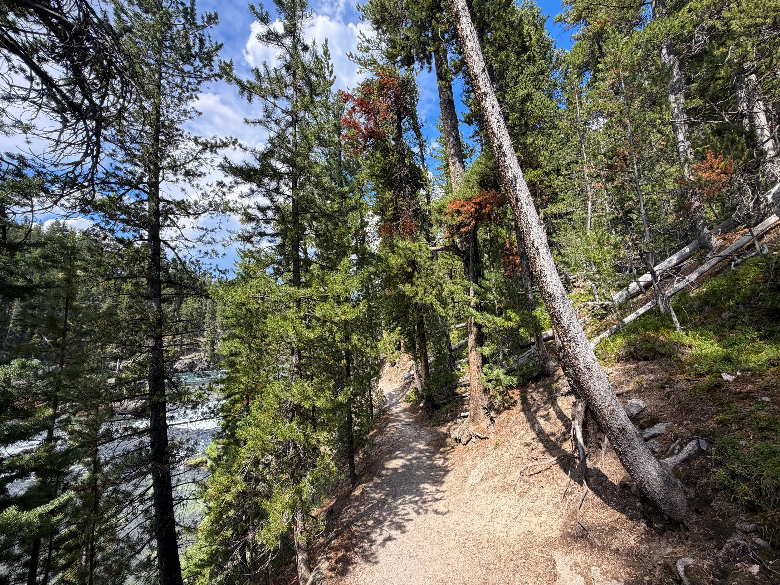South Rim Trail Yellowstone National Park Wyoming