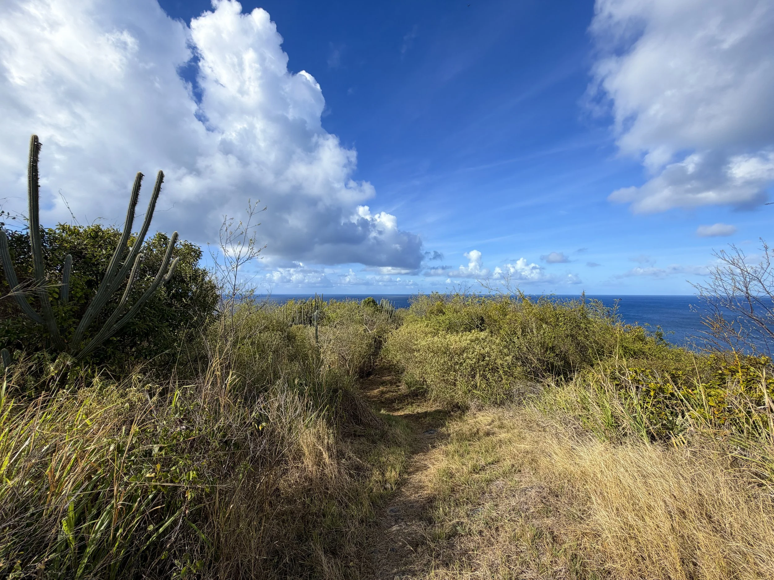 Tektite and Cabritte Horn Trail Virgin Islands National Park