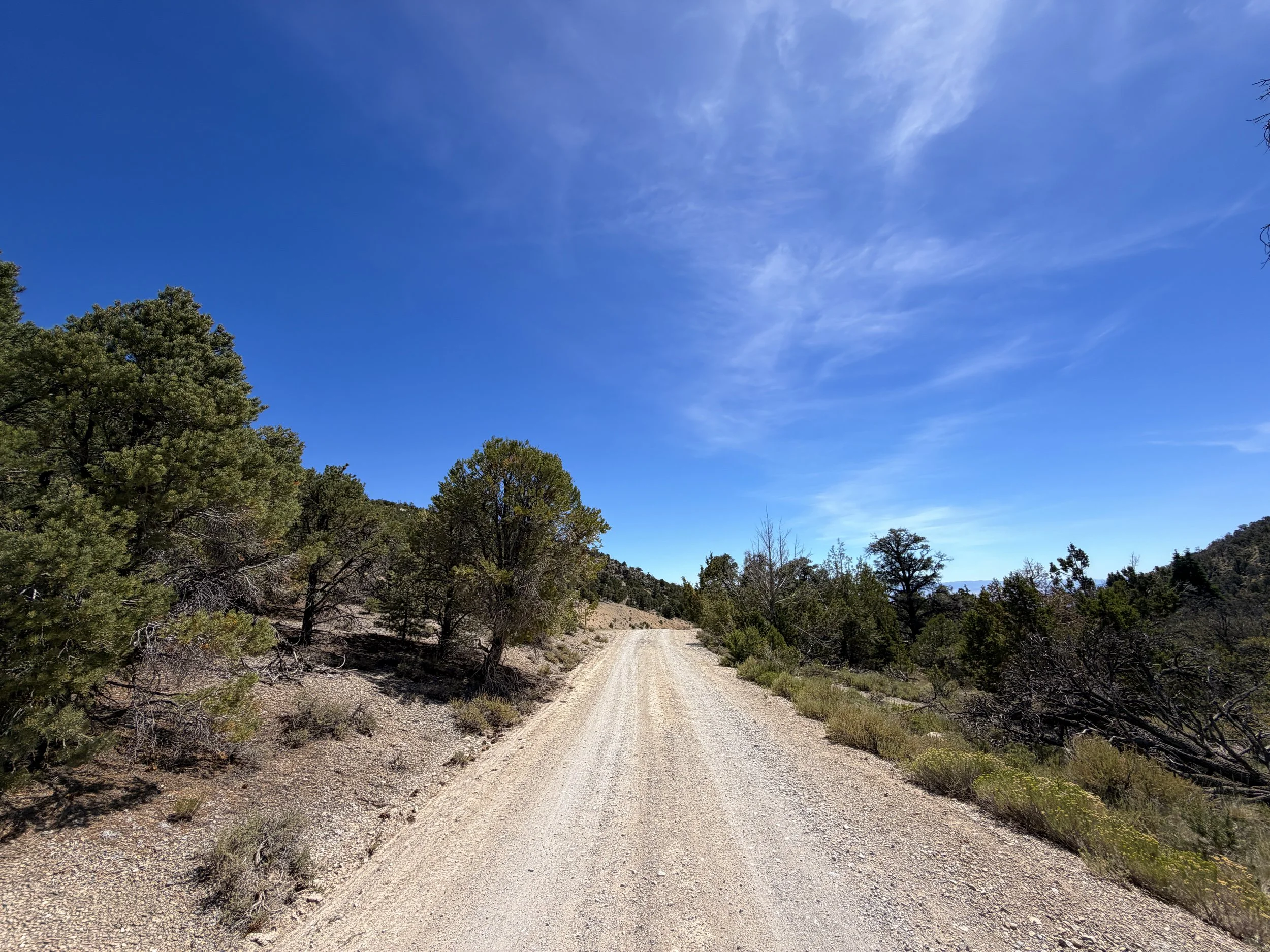 Pole Canyon Loop Trail Great Basin National Park Nevada