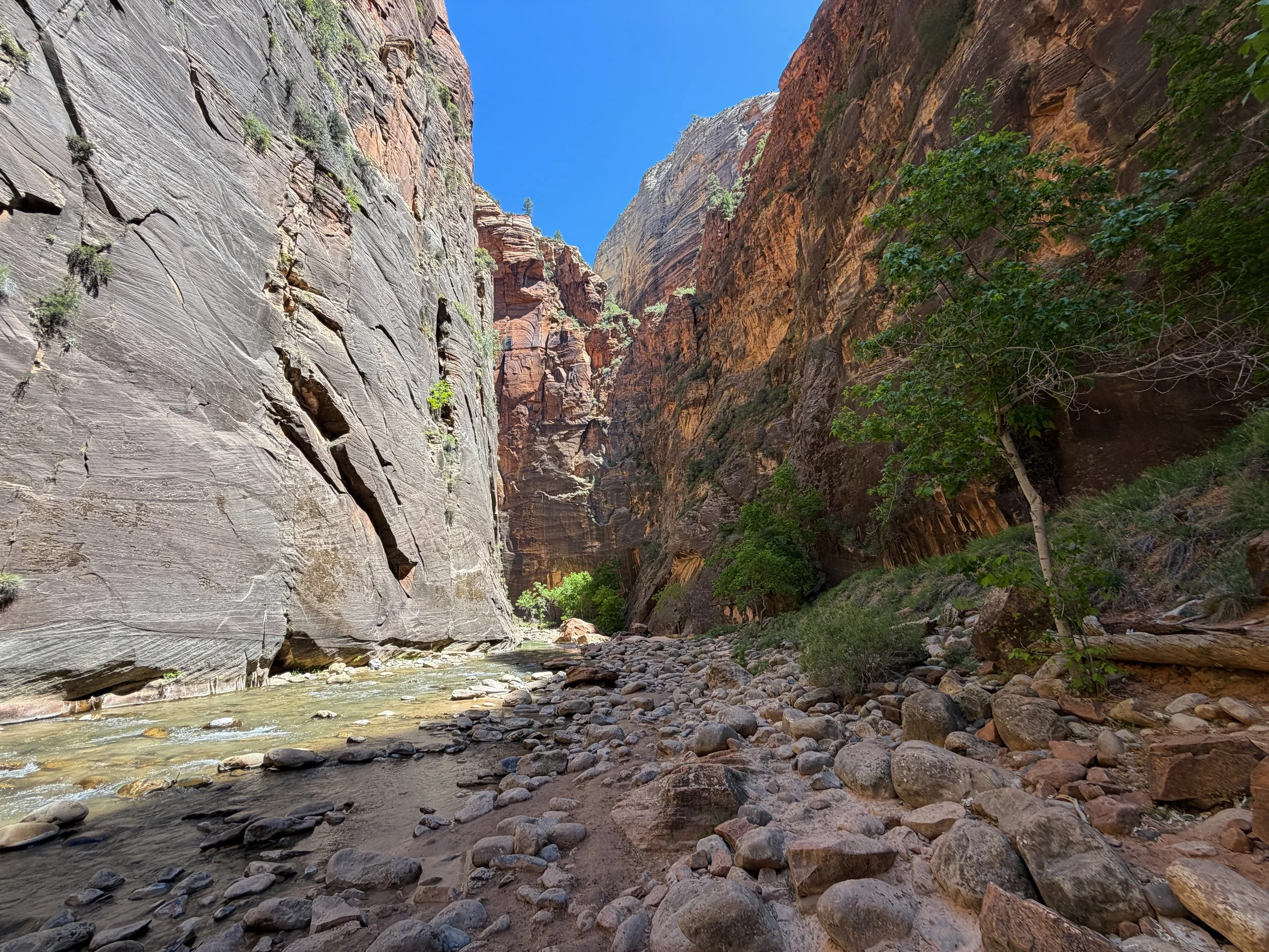 The Narrows Trail Zion National Park Utah