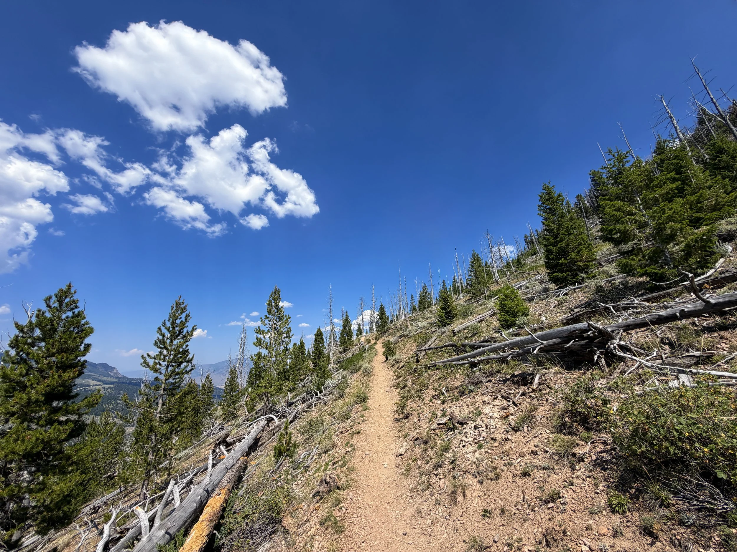 Bunsen Peak Hike Yellowstone National Park Wyoming